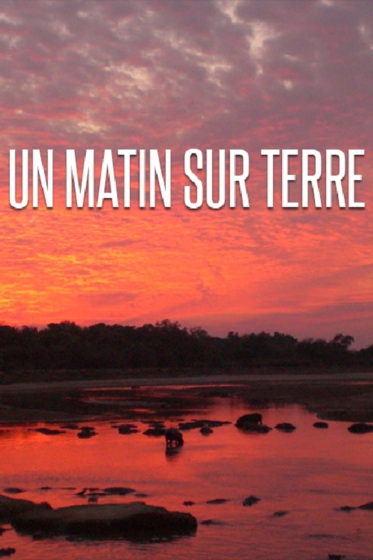 Un matin sur terre preview 2