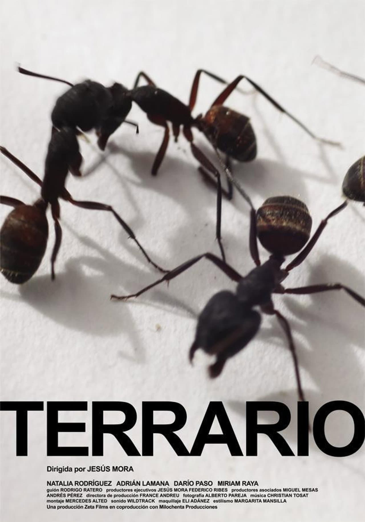 Terrario preview 1