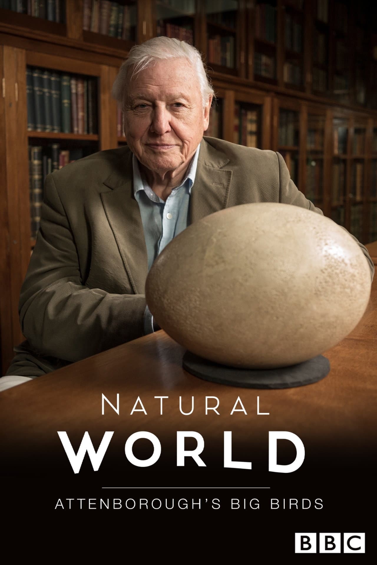 Attenborough's Big Birds preview 2