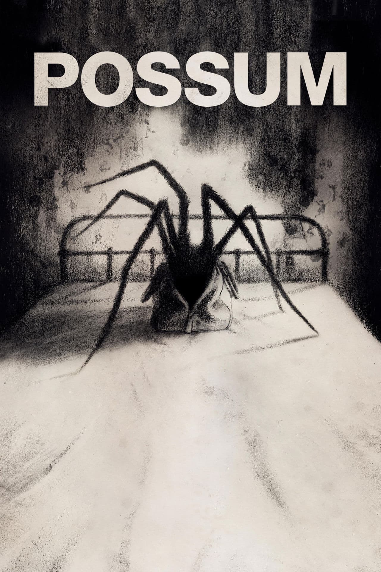 Possum preview 2