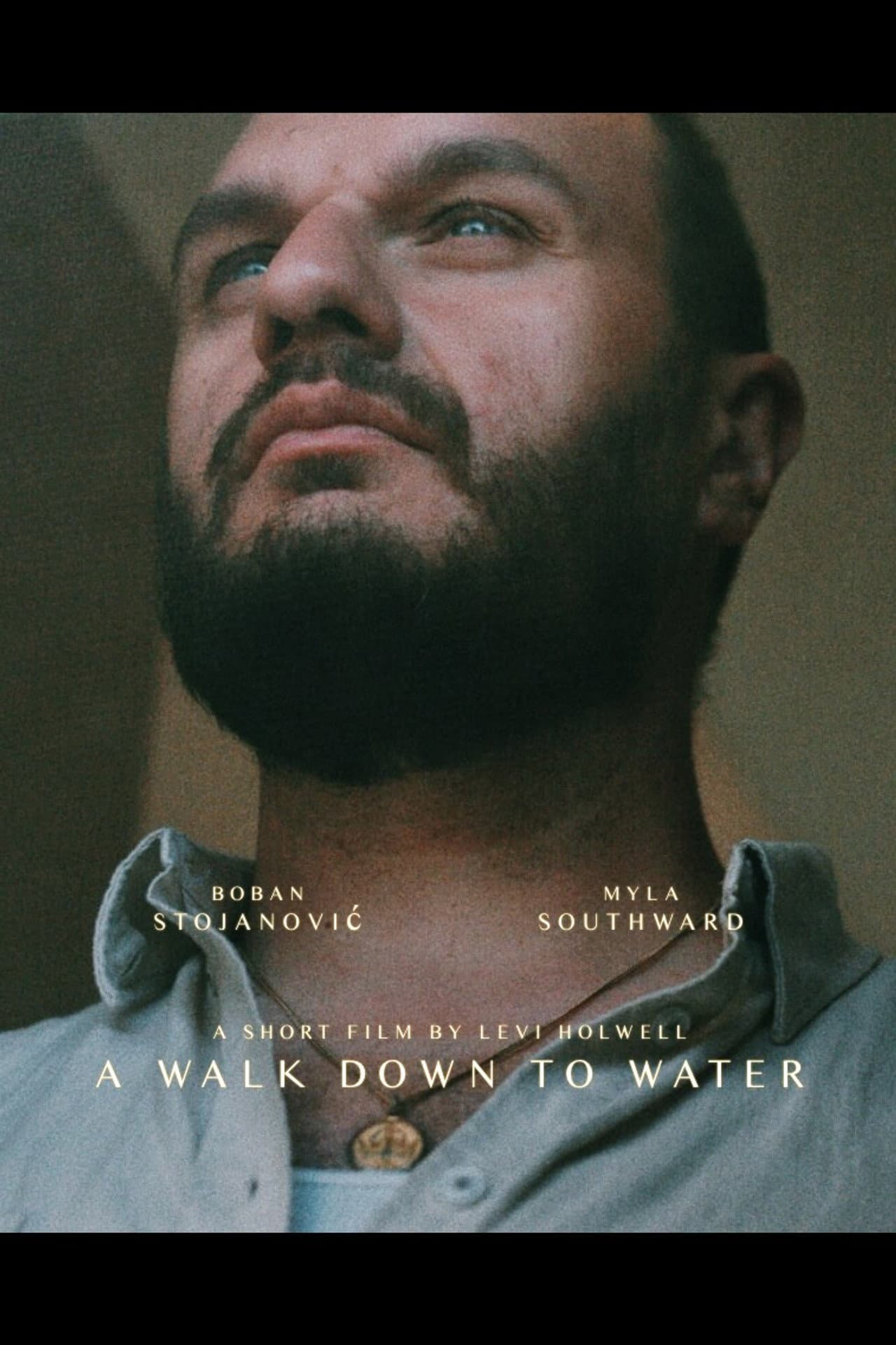 A Walk Down to Water preview 2