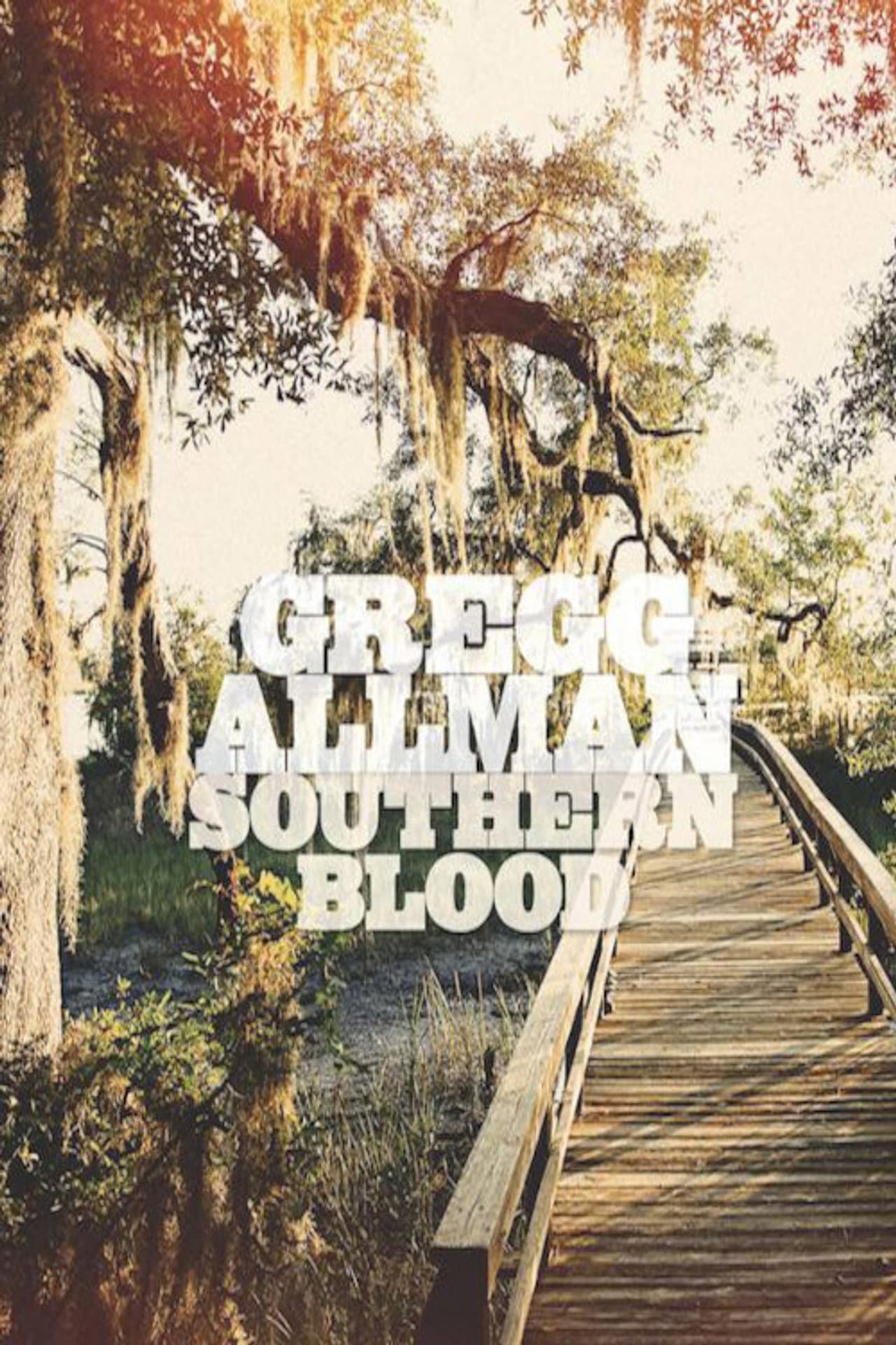 Gregg Allman - Southern Blood preview 1