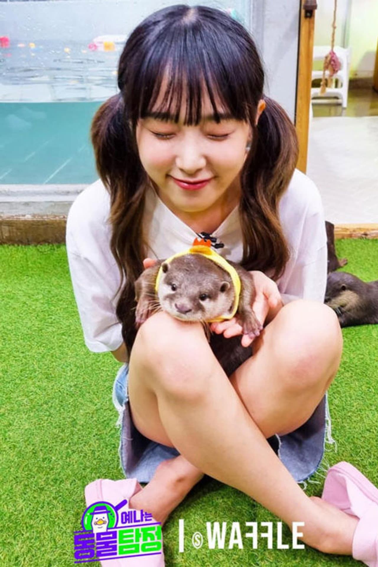 Animal Detective Yena preview 2