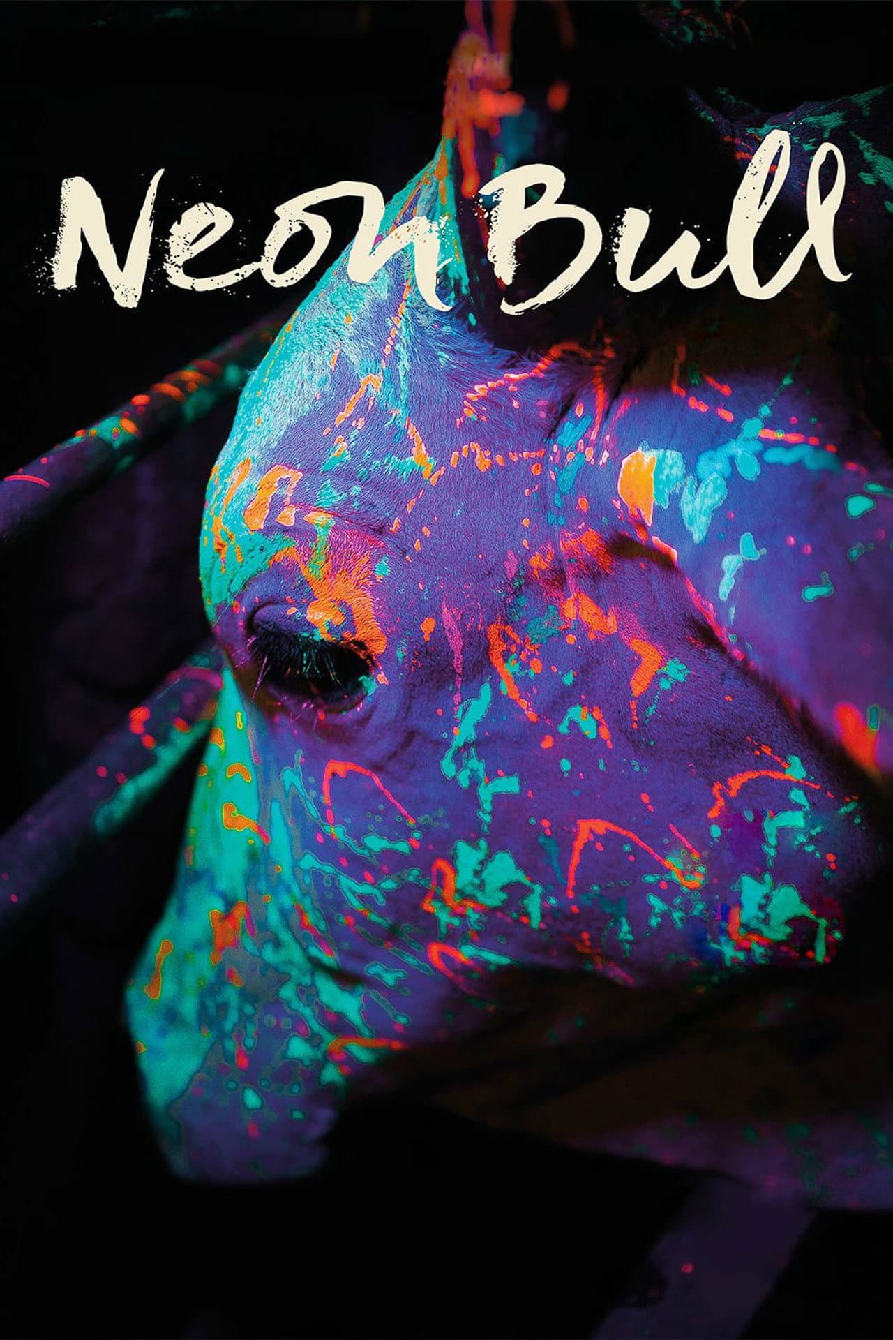 Neon Bull preview 2