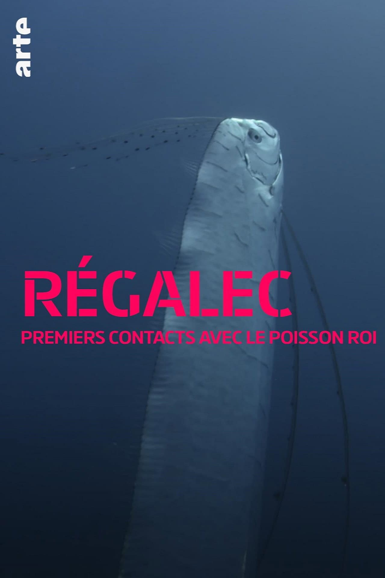 Régalec, premiers contacts avec le poisson roi preview 2
