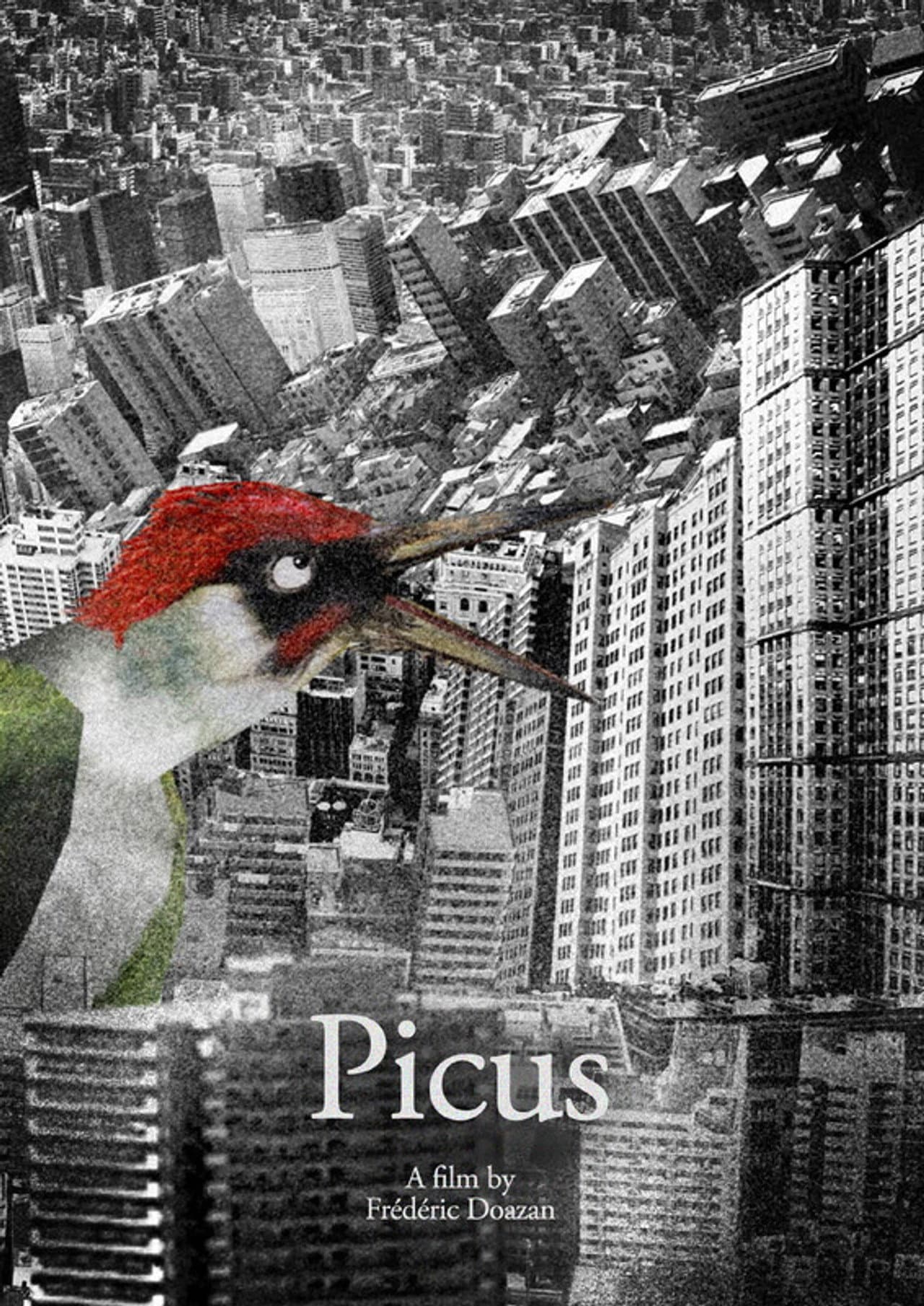 Picus preview 2