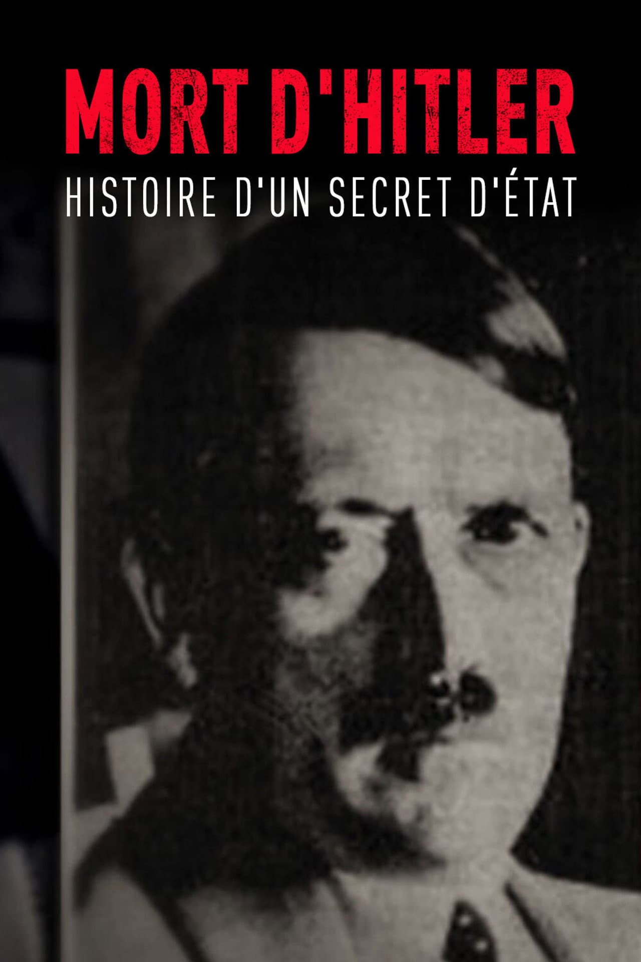 The Death of Hitler: The Story of a State Secret preview 2