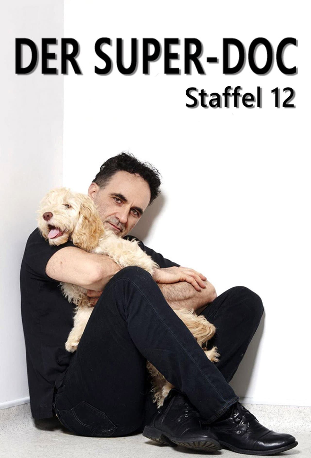 Season 12