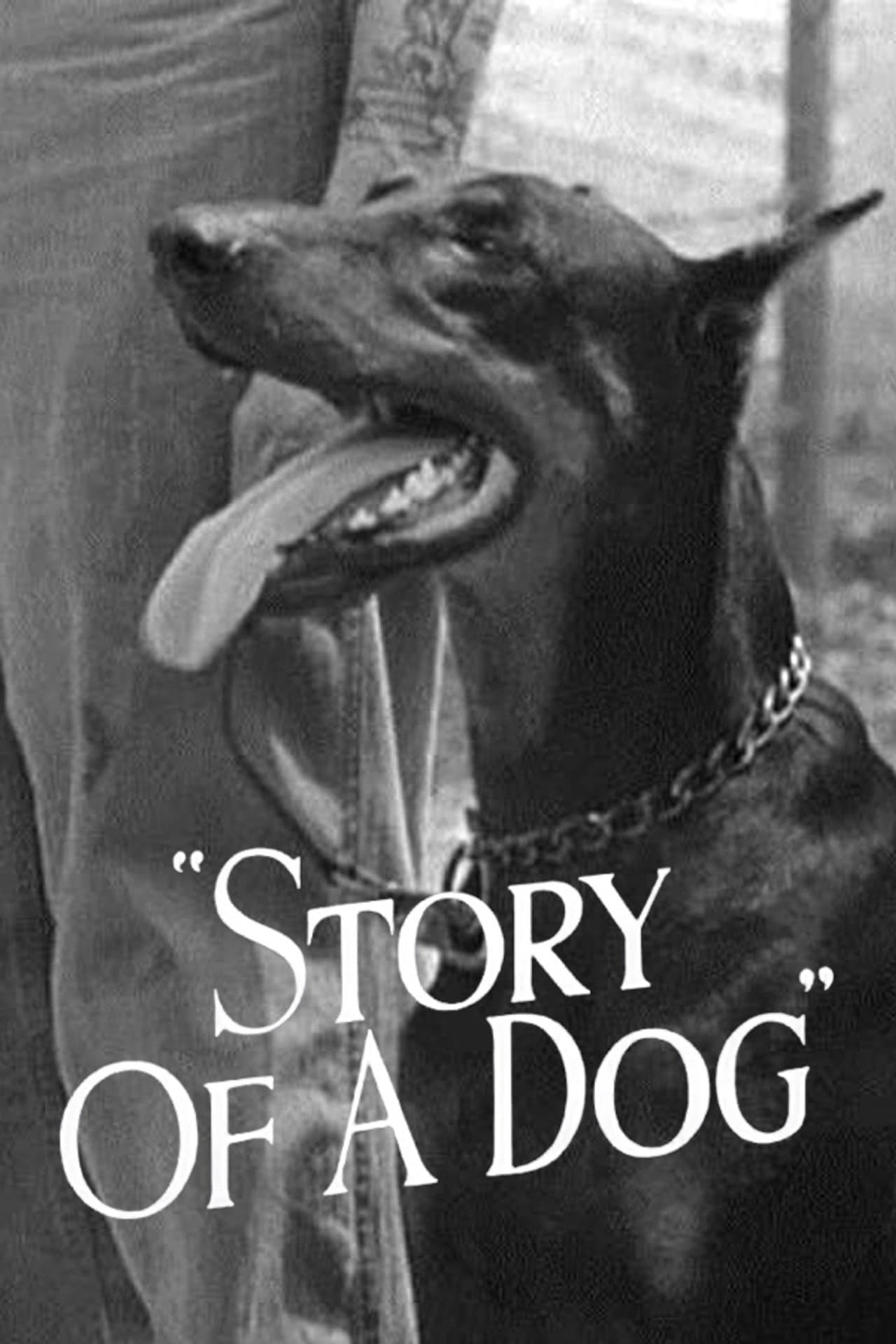 Story of a Dog preview 1