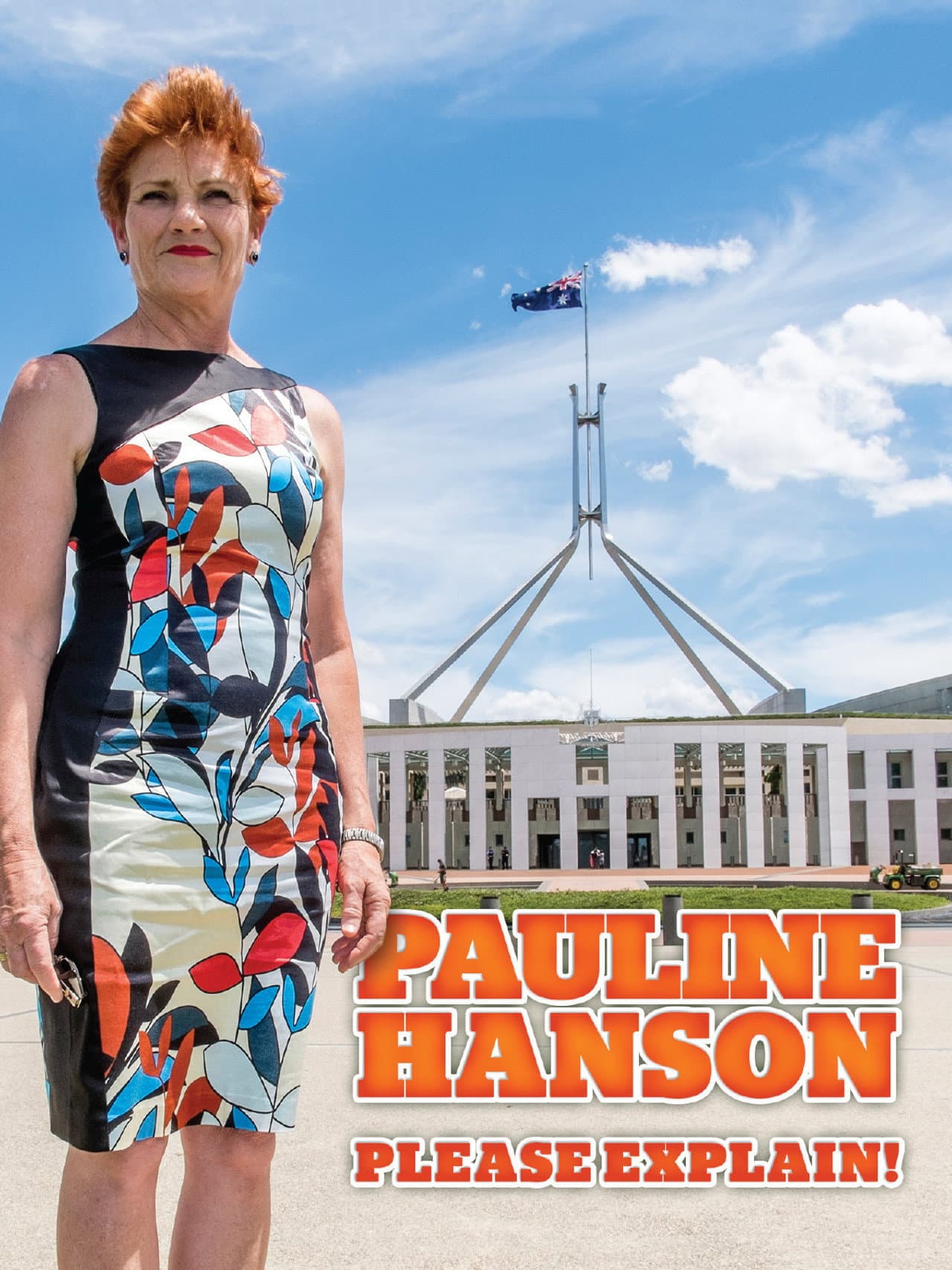 Pauline Hanson: Please Explain! preview 2