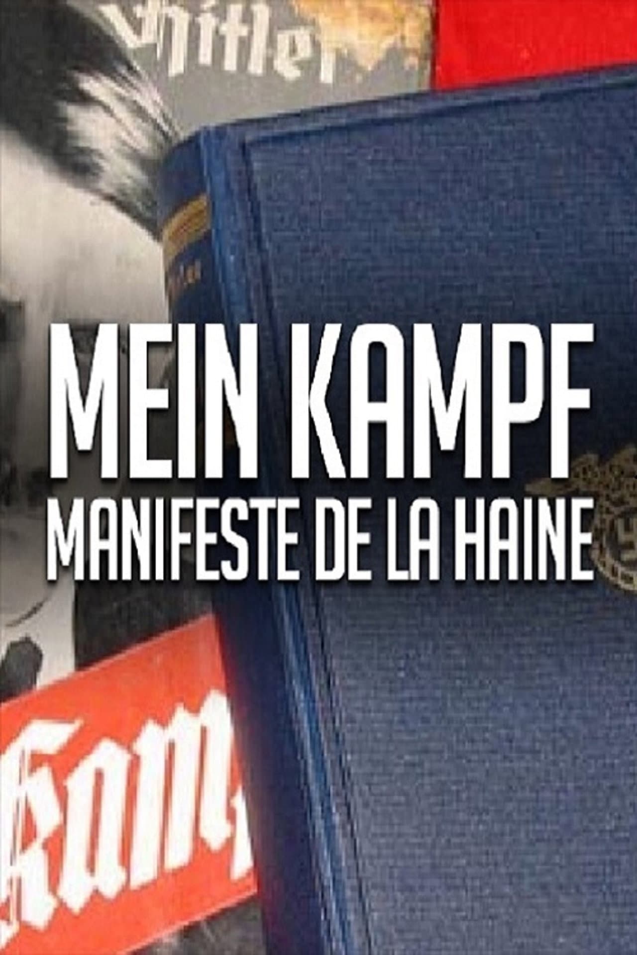 Mein Kampf - Das gefährliche Buch preview 2