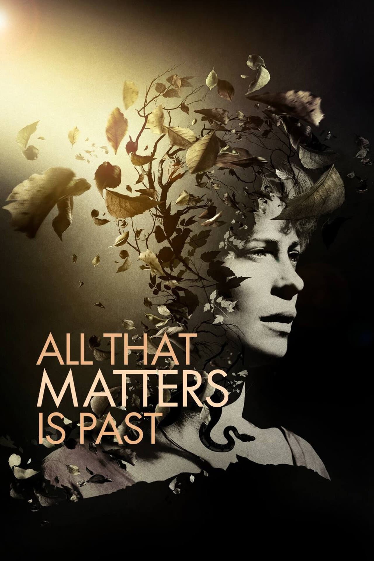 All That Matters Is Past preview 2