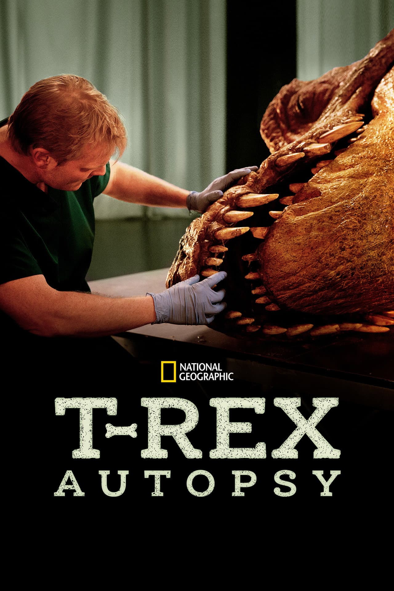 T. Rex Autopsy preview 2