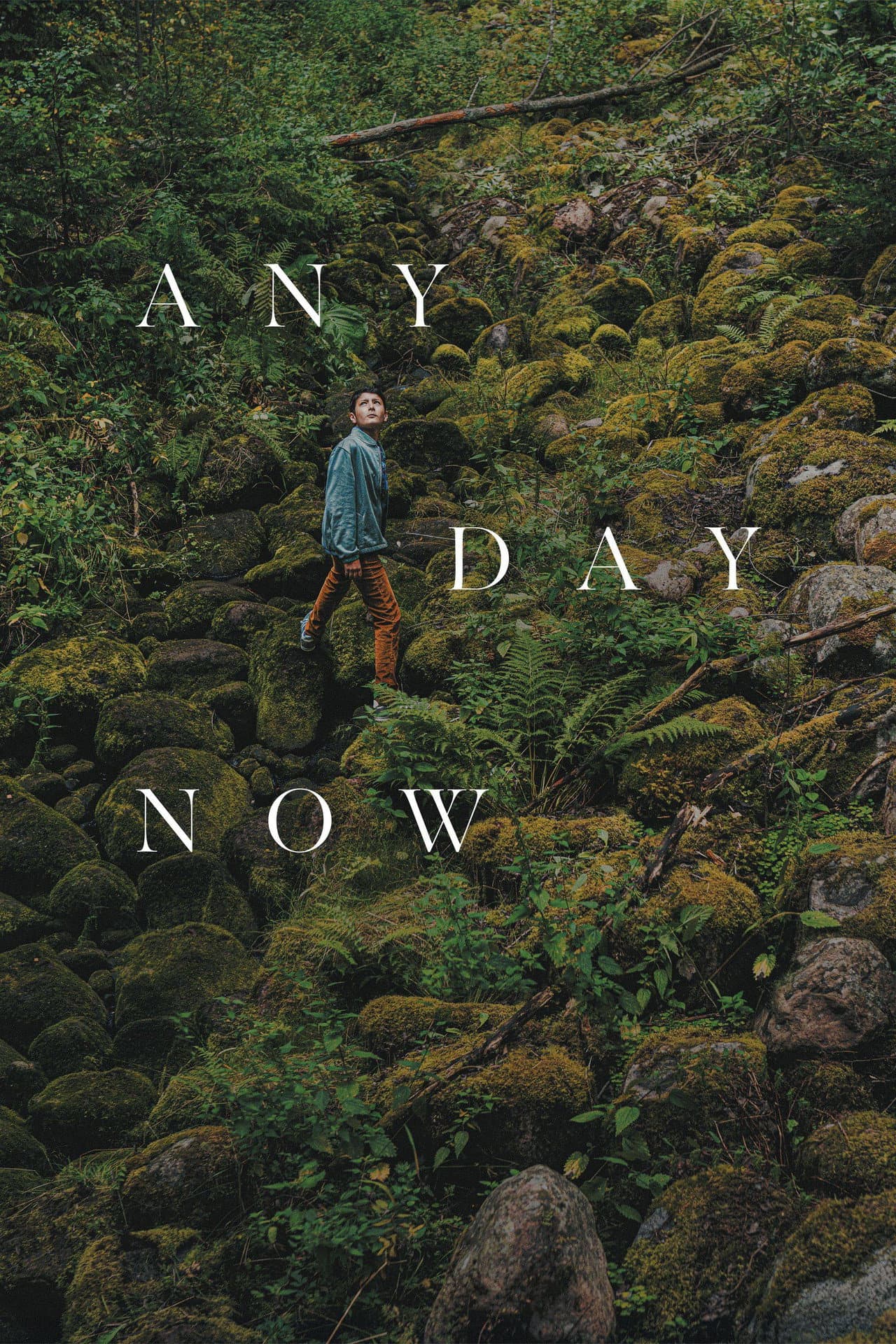 Any Day Now preview 2