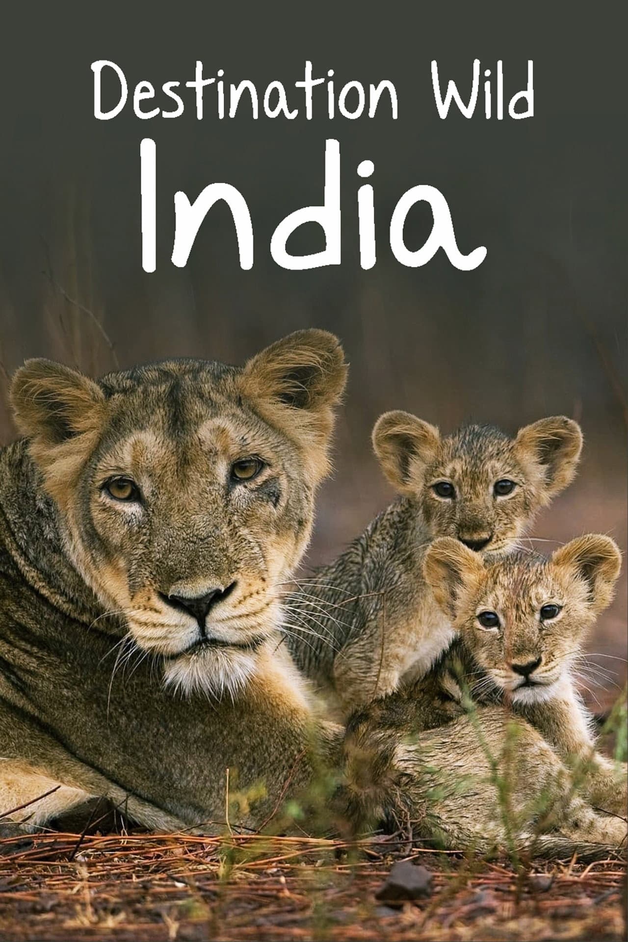 Destination Wild: India preview 2