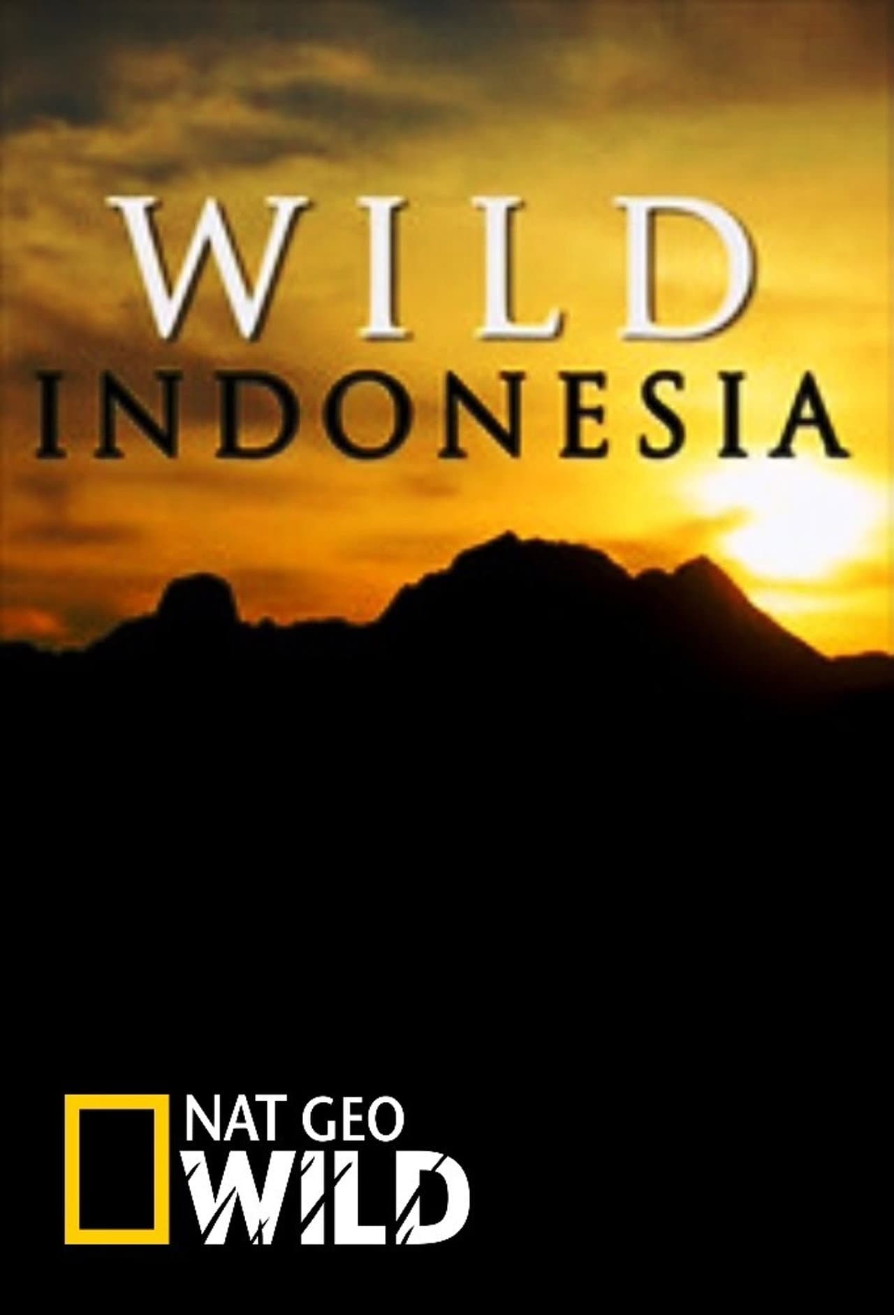 Wild Indonesia preview 2