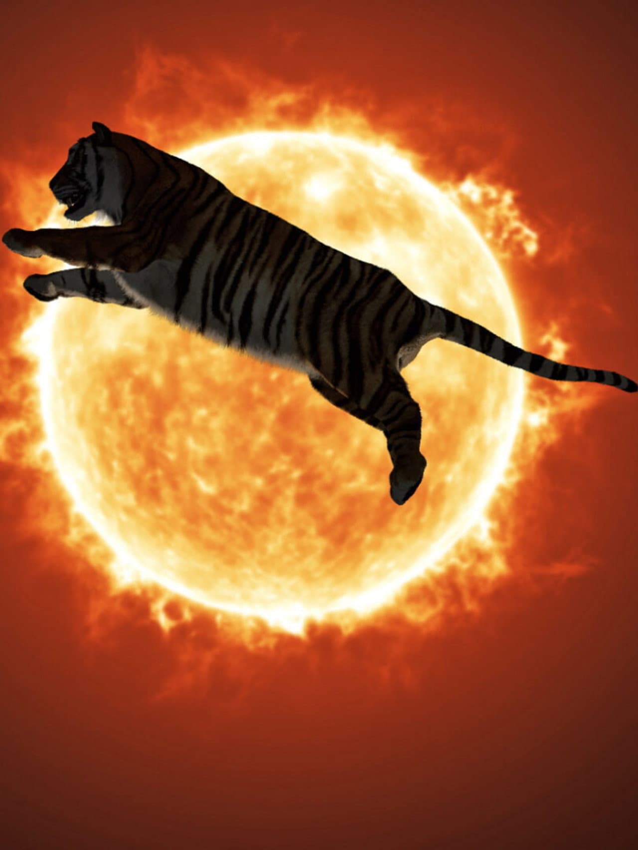One or Several Tigers preview 2