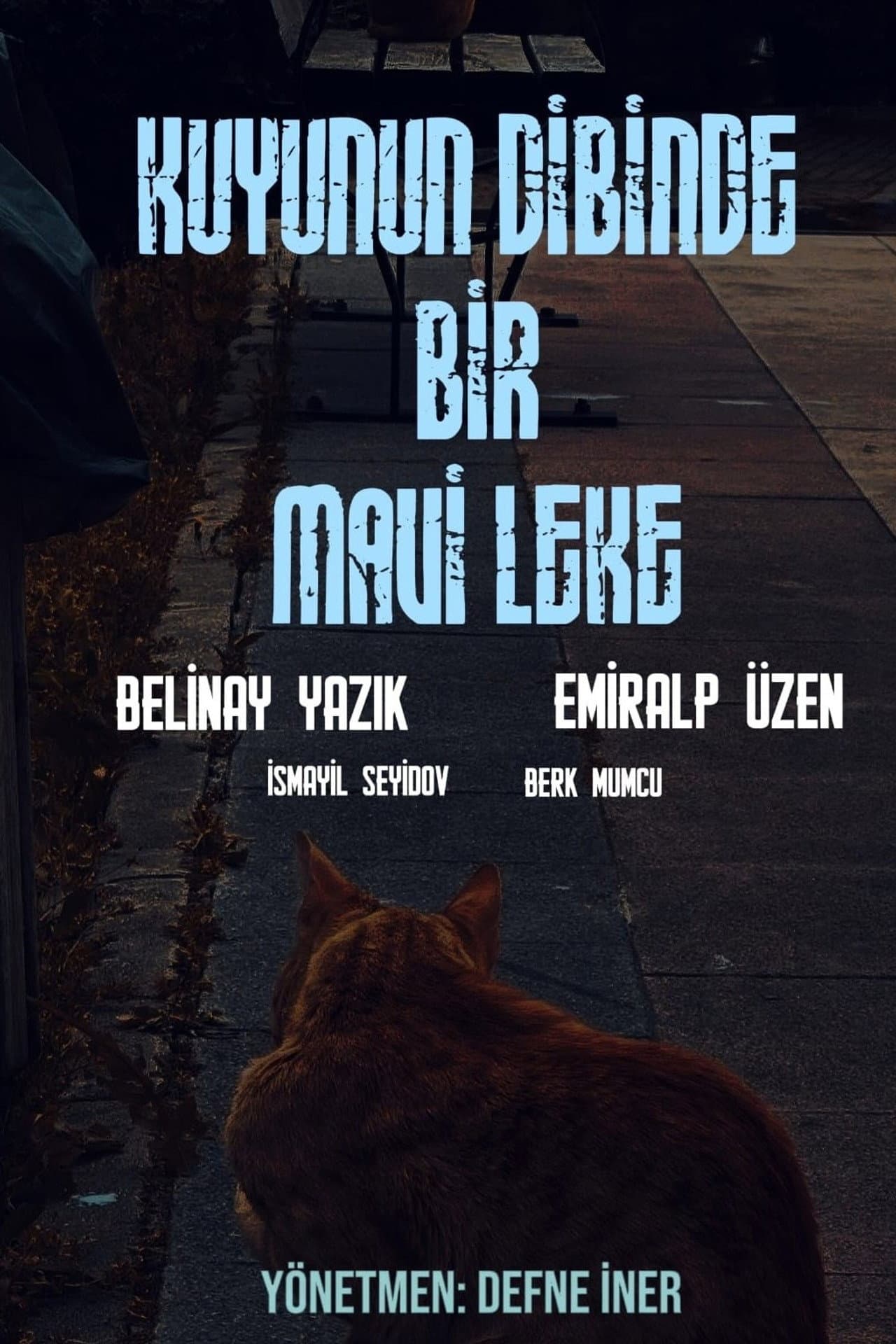 Kuyunun Dibinde Bir Mavi Leke preview 1