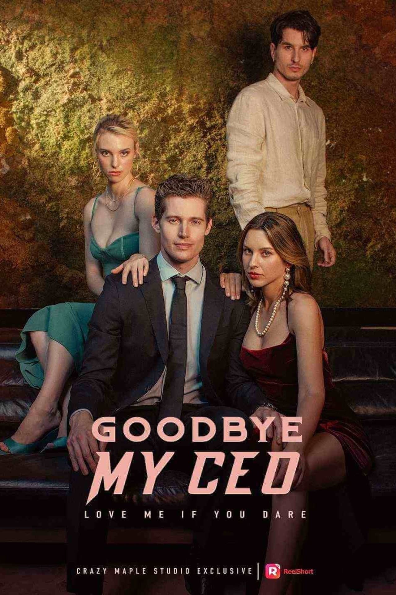 Goodbye, My CEO preview 2