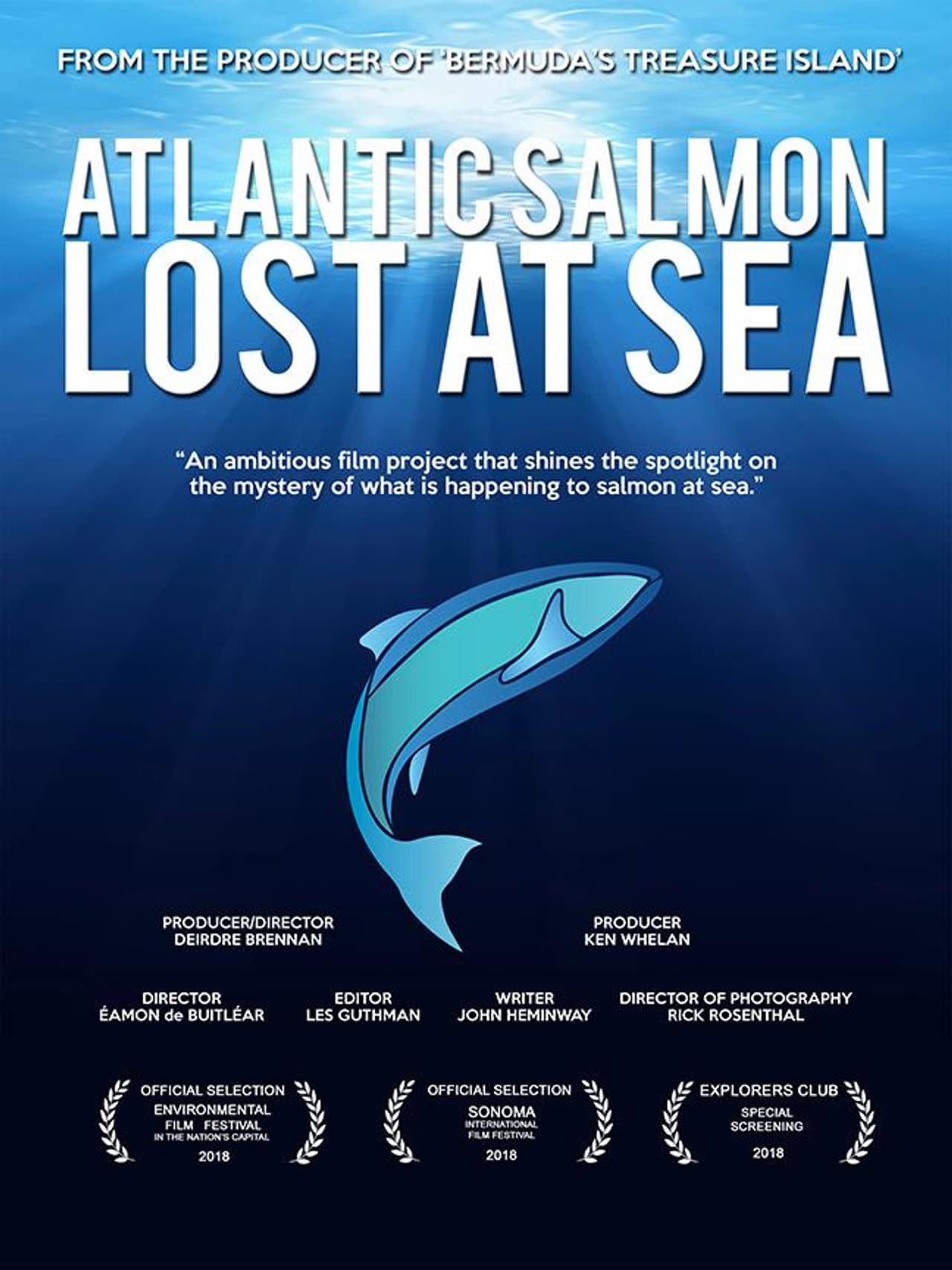 Atlantic Salmon: Lost at Sea preview 1