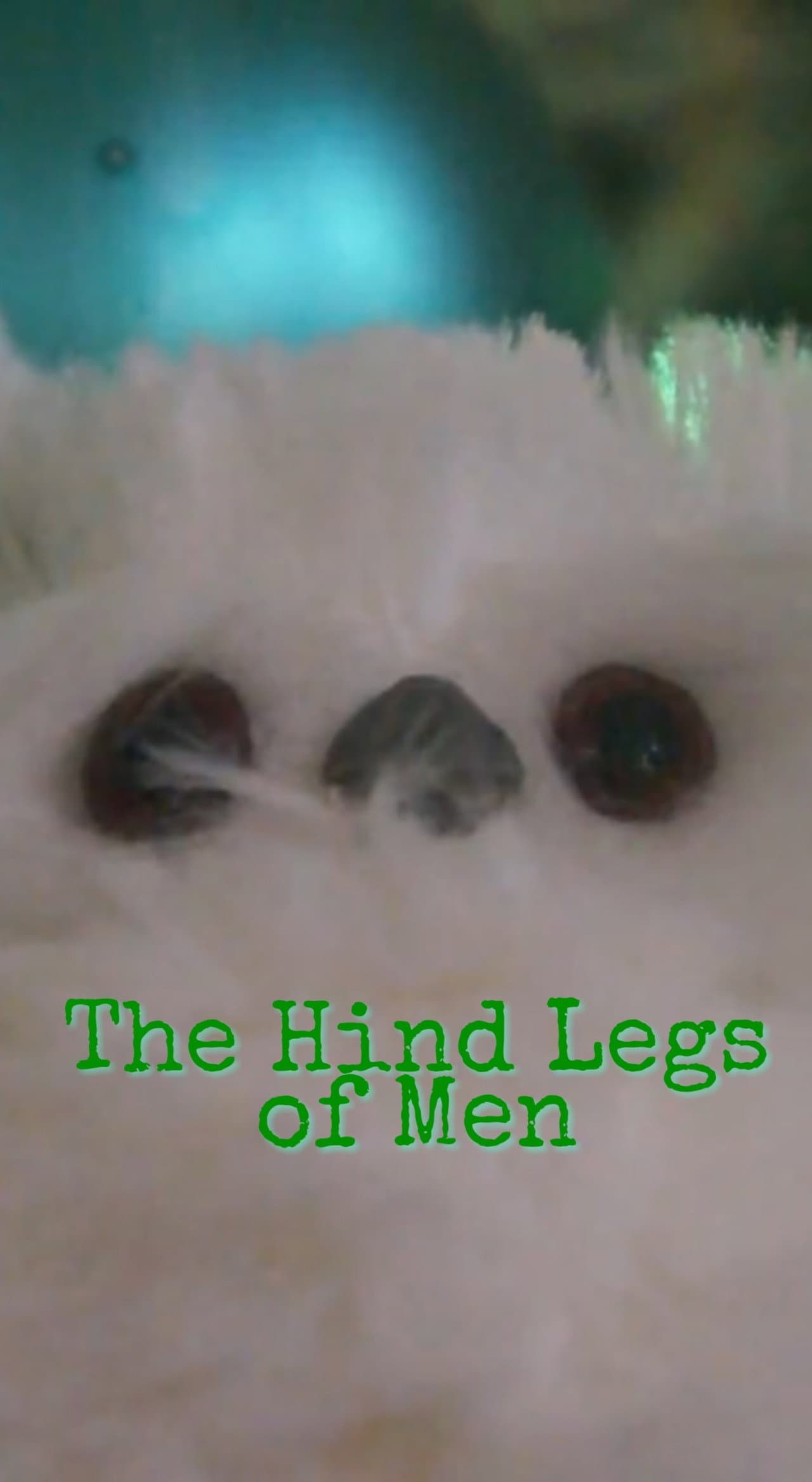 A Christmas Story: The Hind Legs of Men (Their Only Legs) preview 1