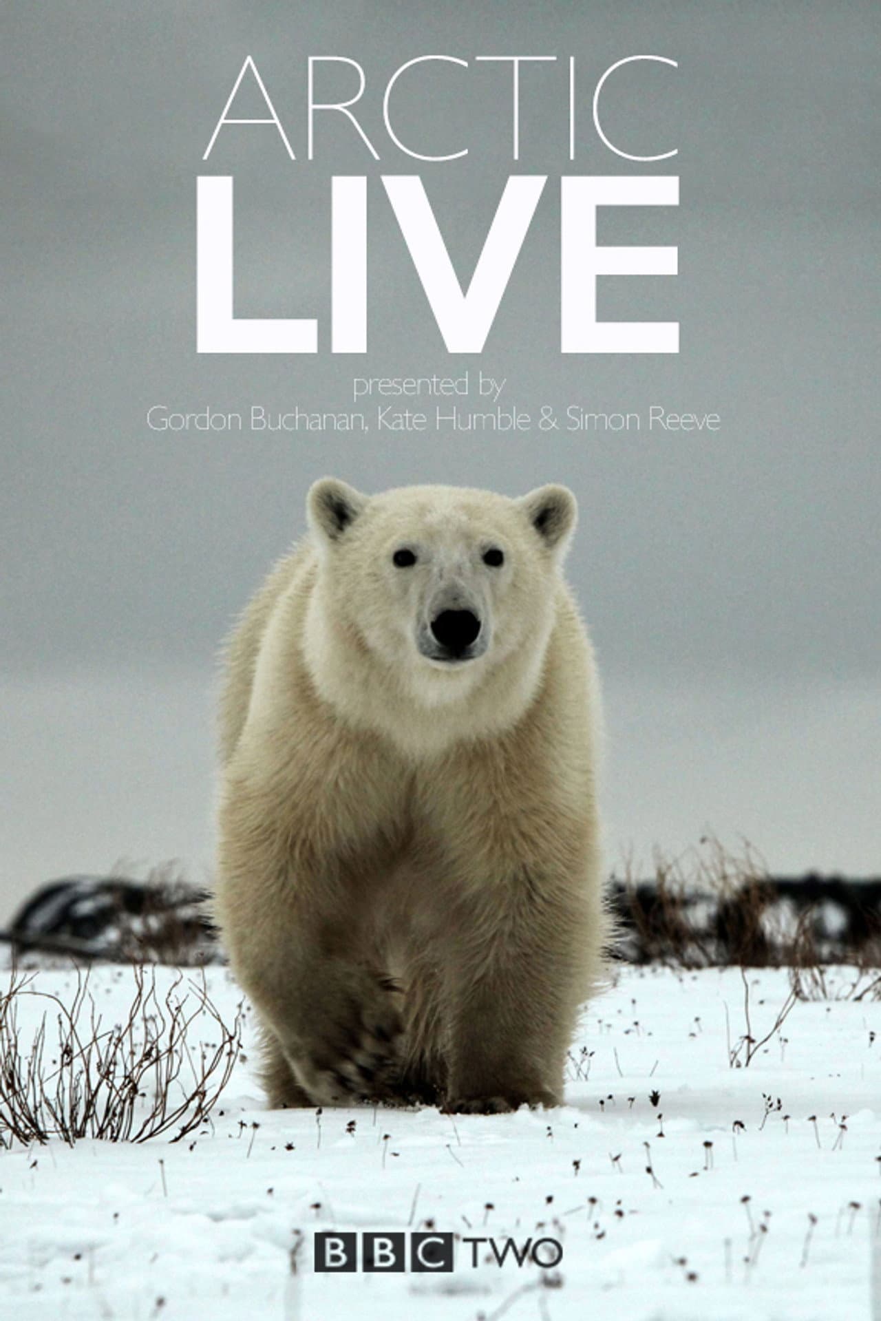 Arctic Live preview 2