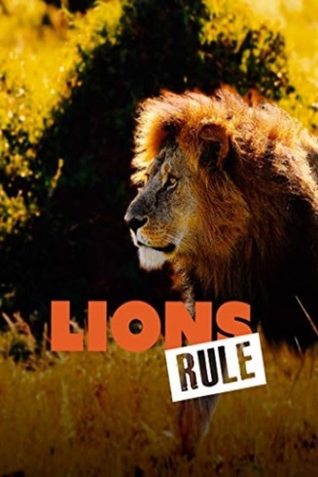 Lions Rule preview 2