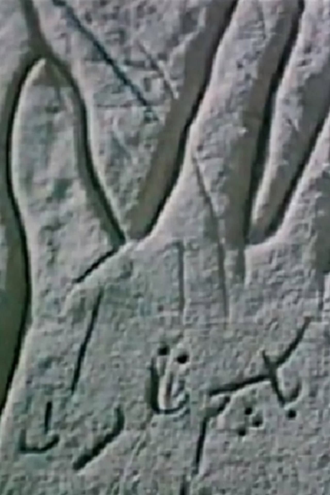The Secrecy of an Open Palm preview 1