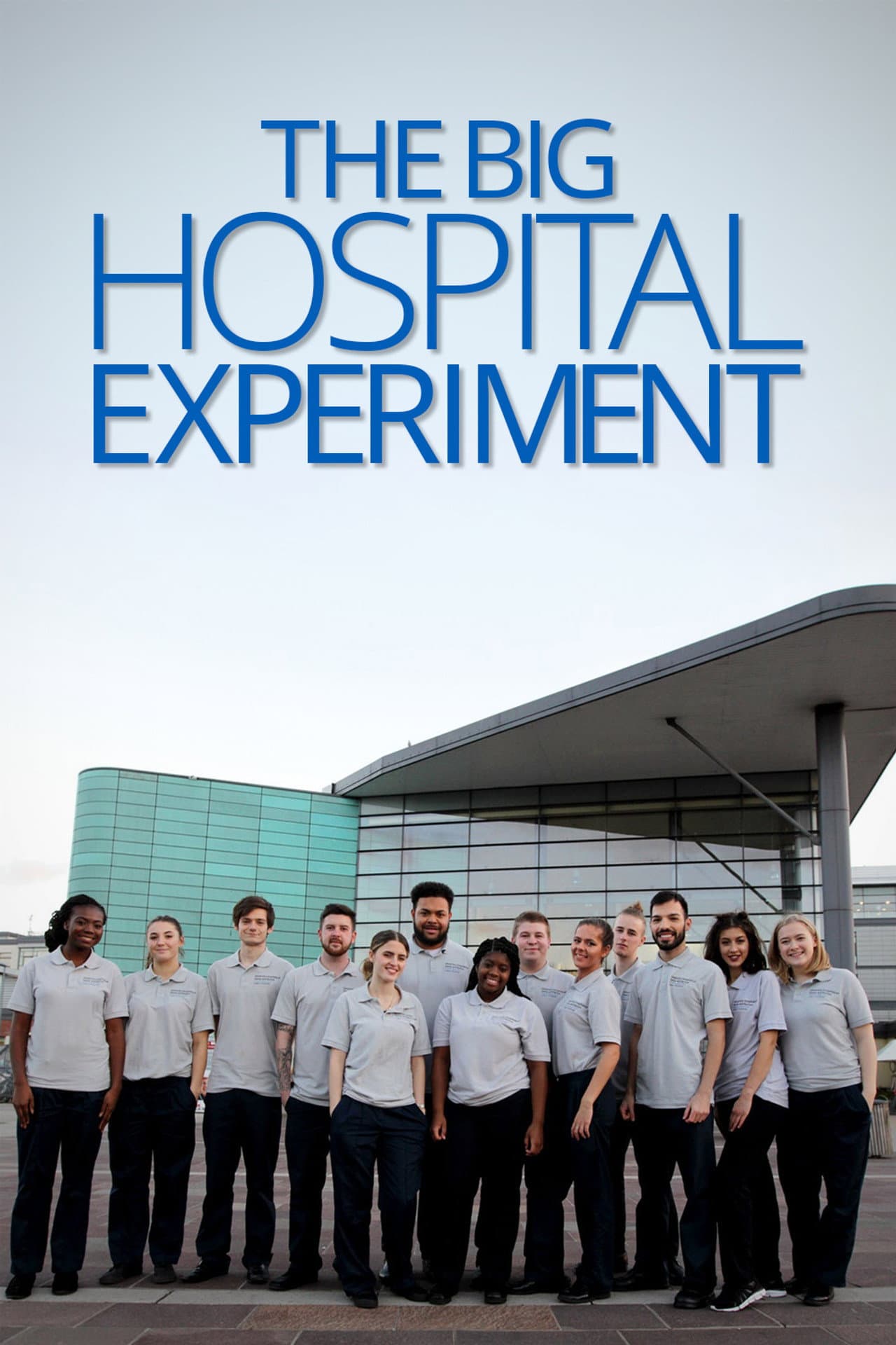 The Big Hospital Experiment preview 2