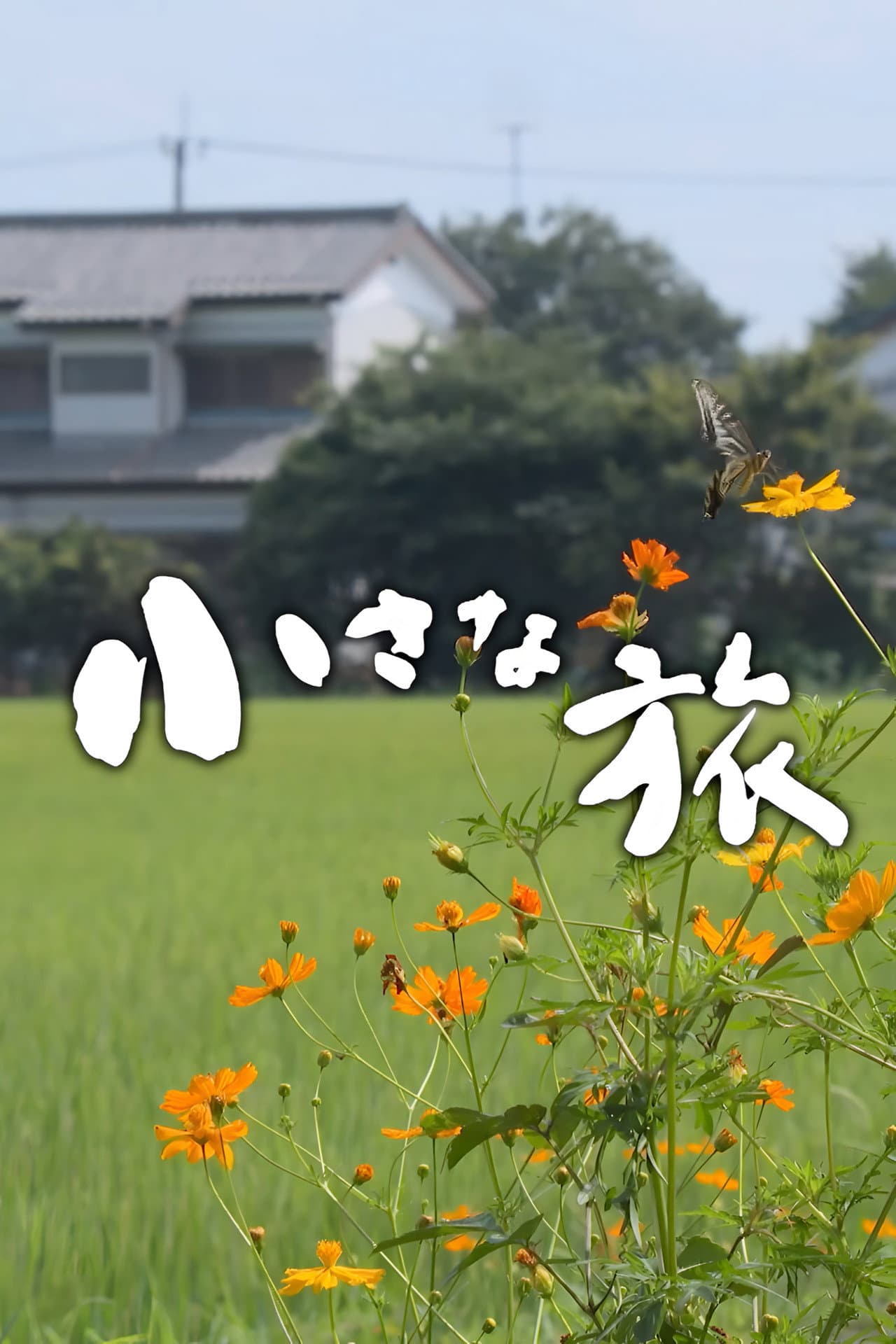 Chiisana Tabi preview 2