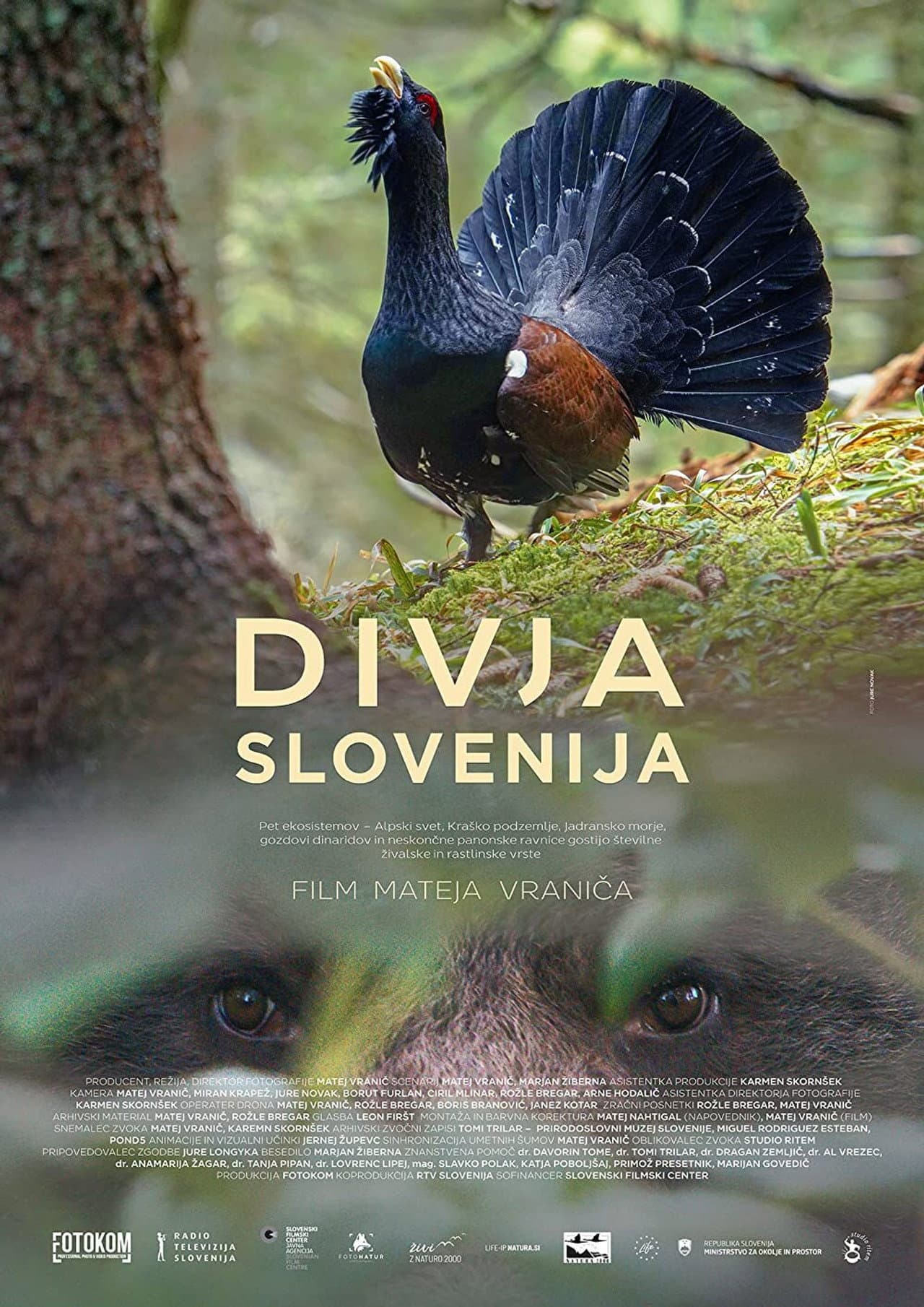 Wild Slovenia preview 2
