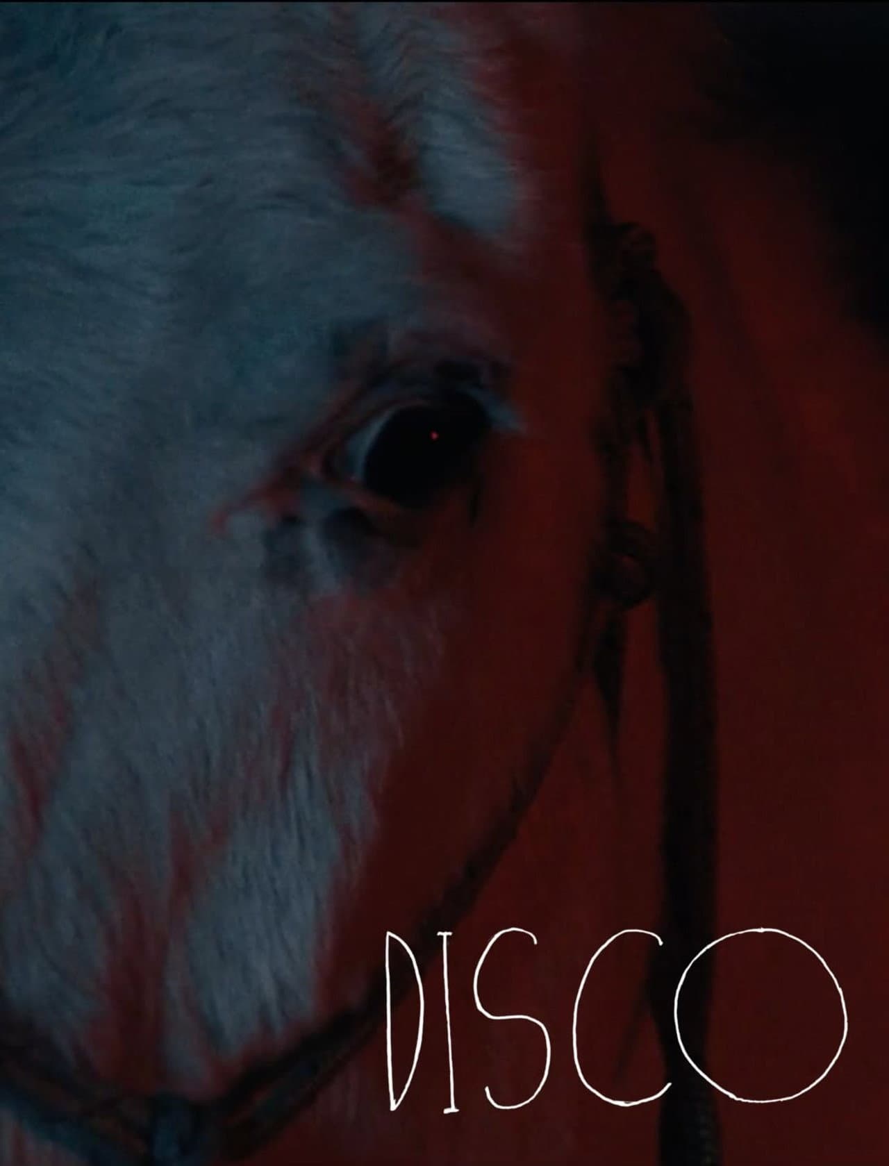 Disco preview 1