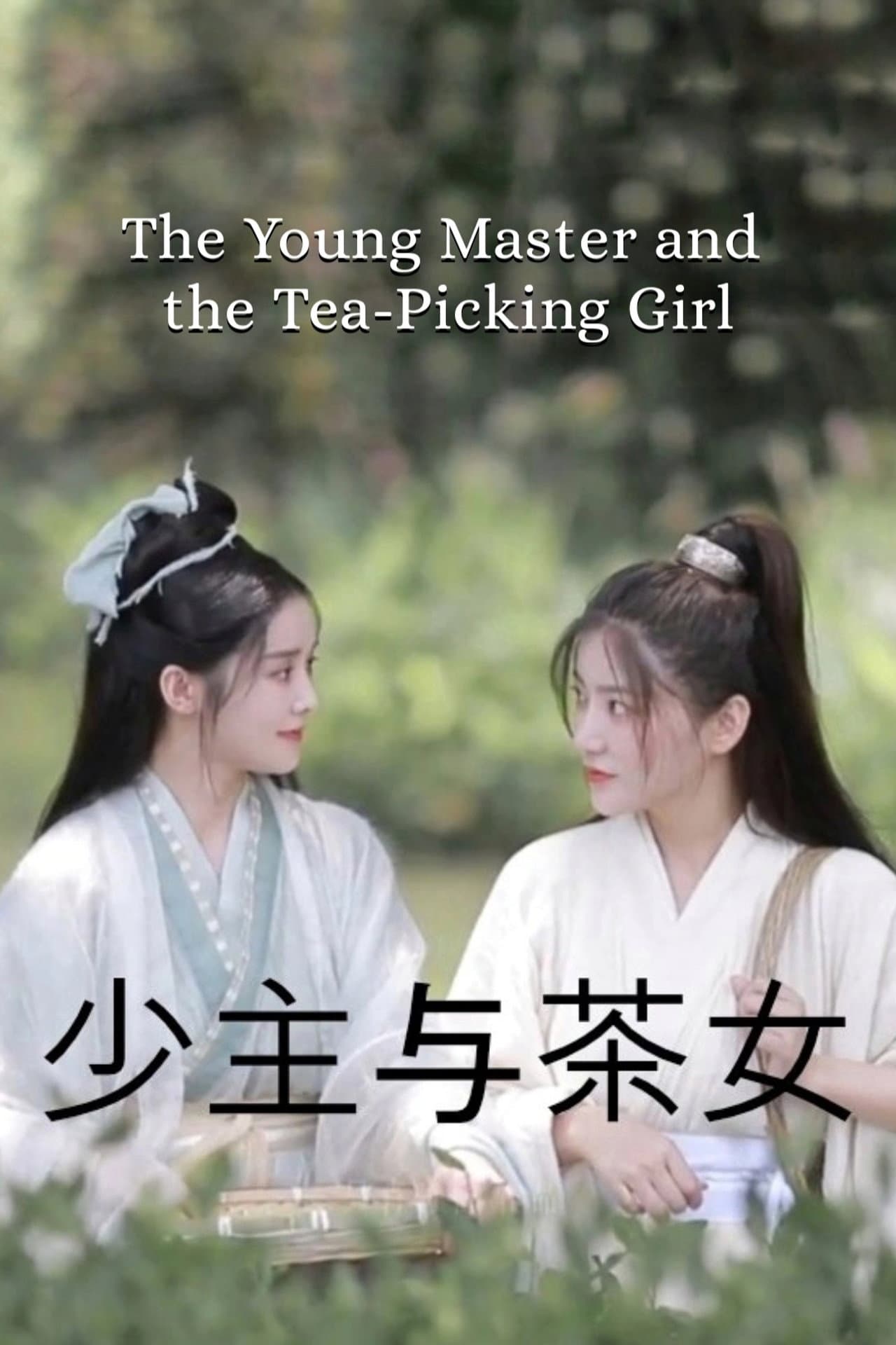 The Young Master and the Tea-Picking Girl preview 2
