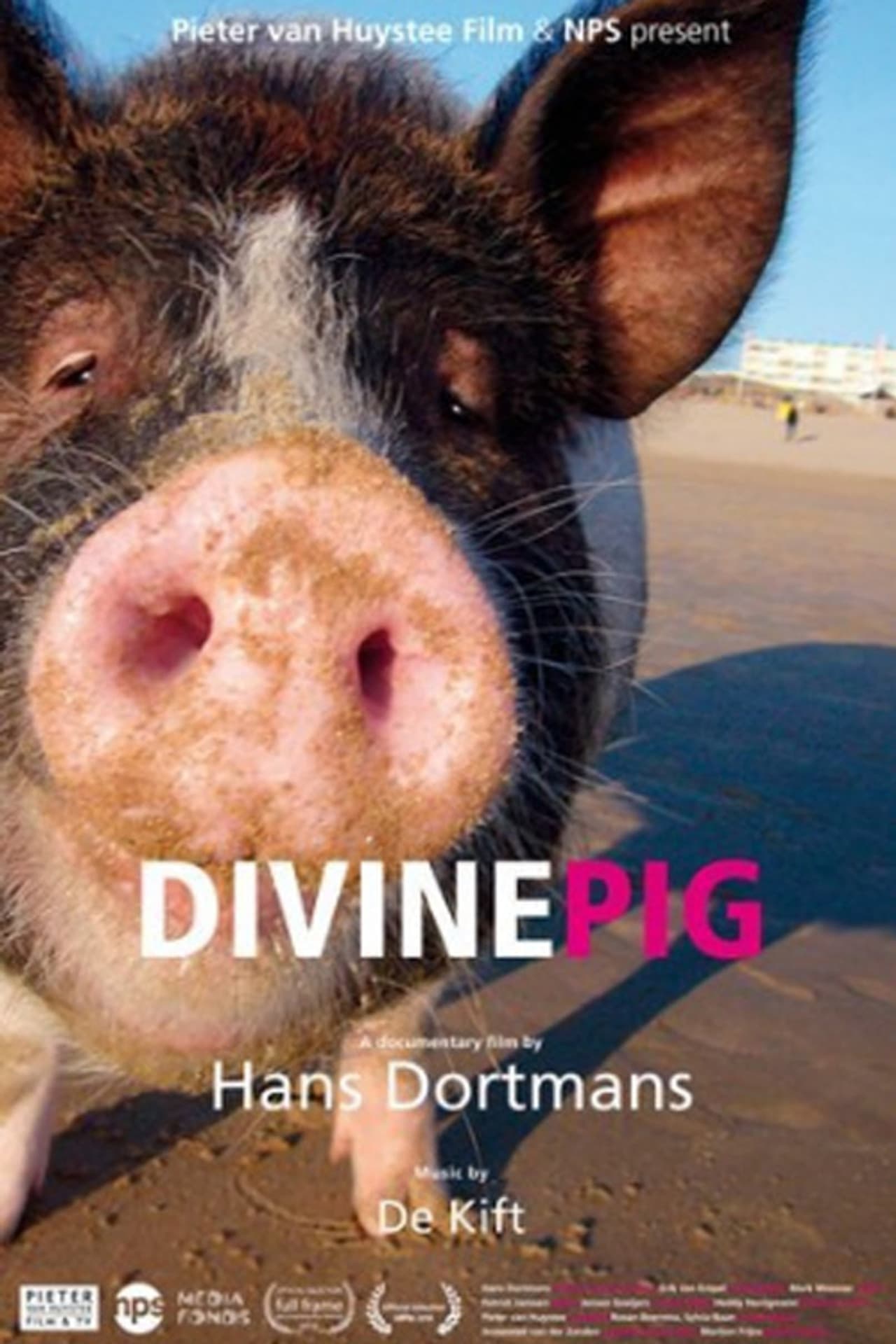 Divine Pig preview 2