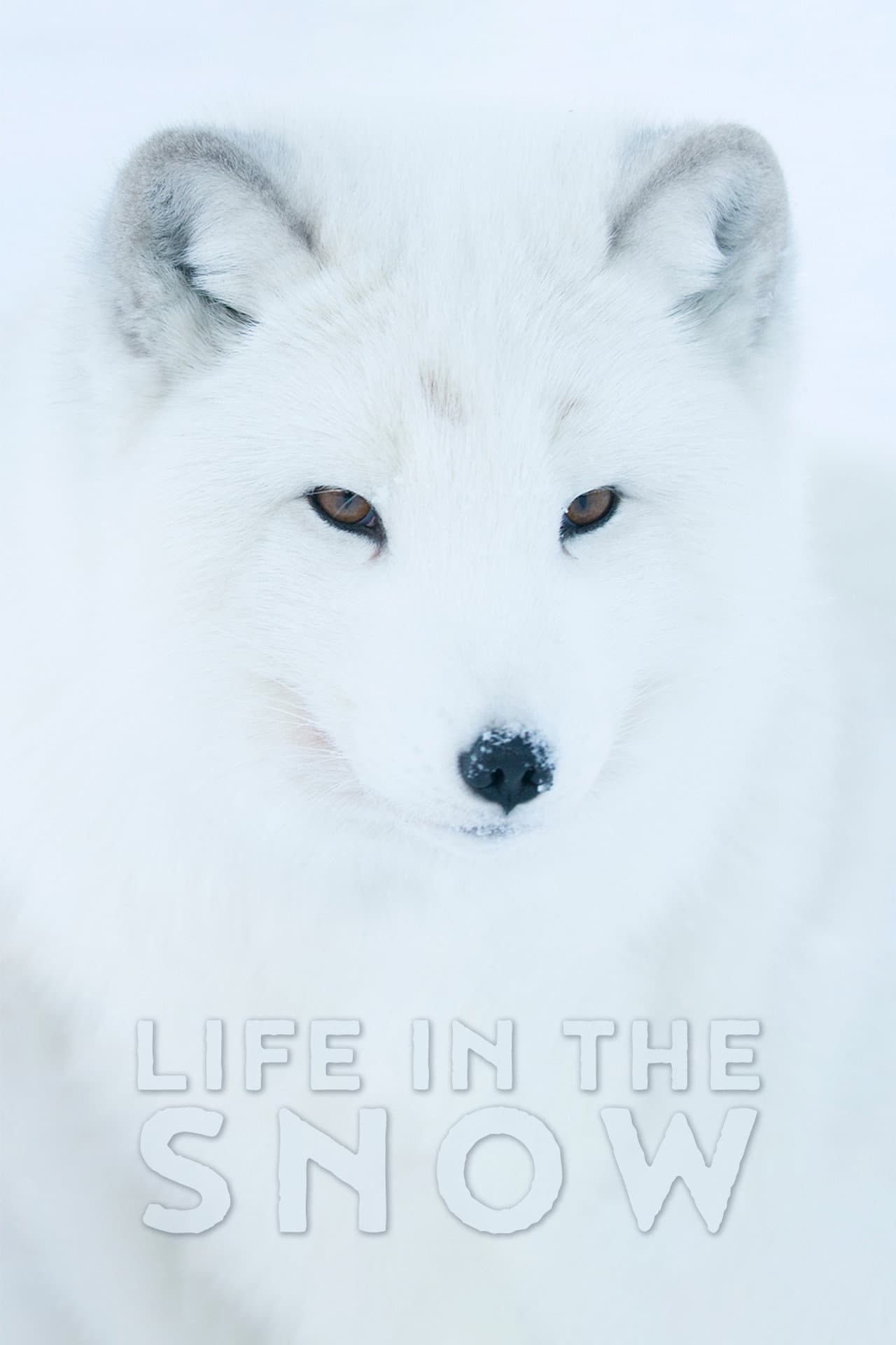 Life In The Snow preview 2