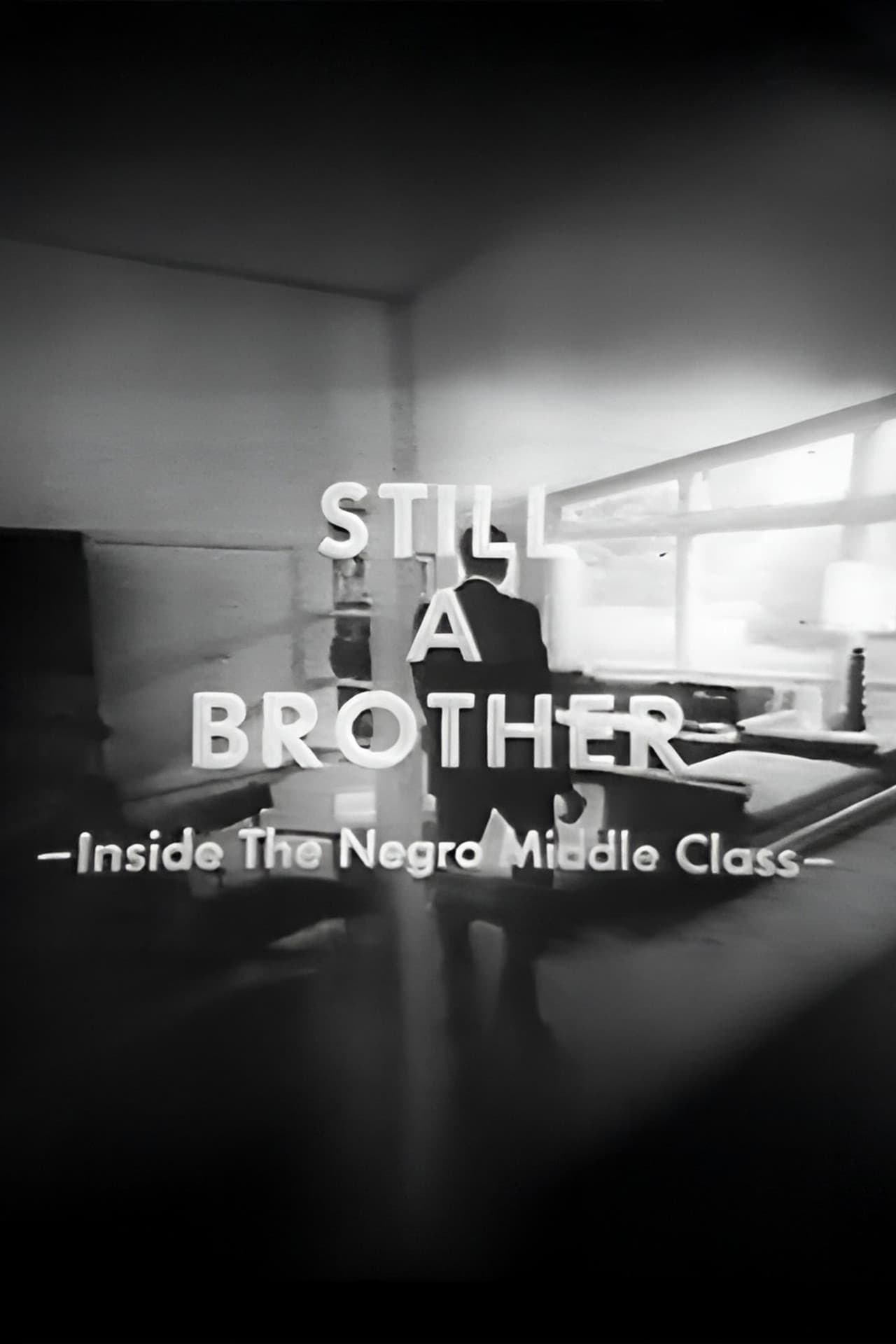 Still A Brother: Inside the Negro Middle Class preview 2