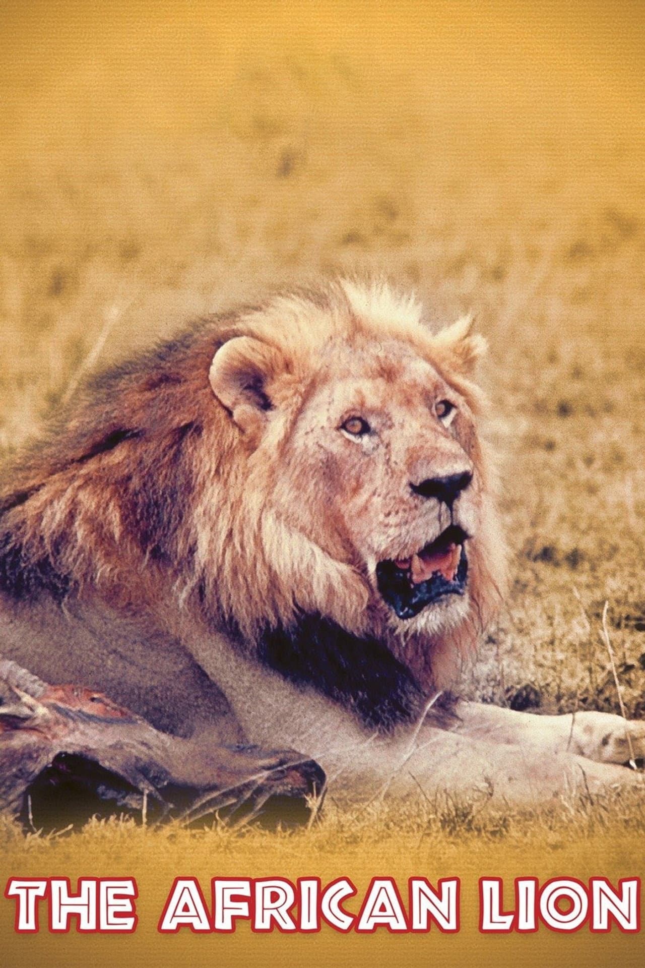 The African Lion preview 2