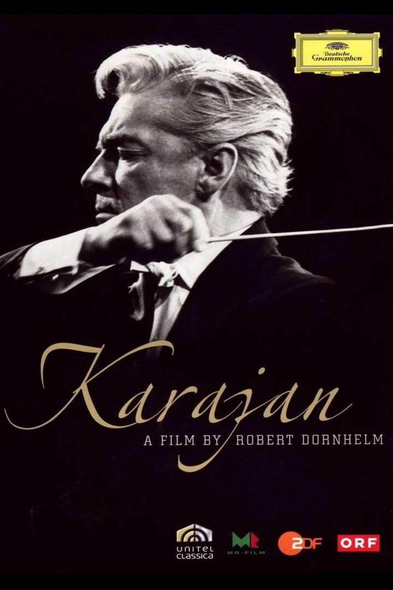 Karajan: Beauty As I See It preview 2