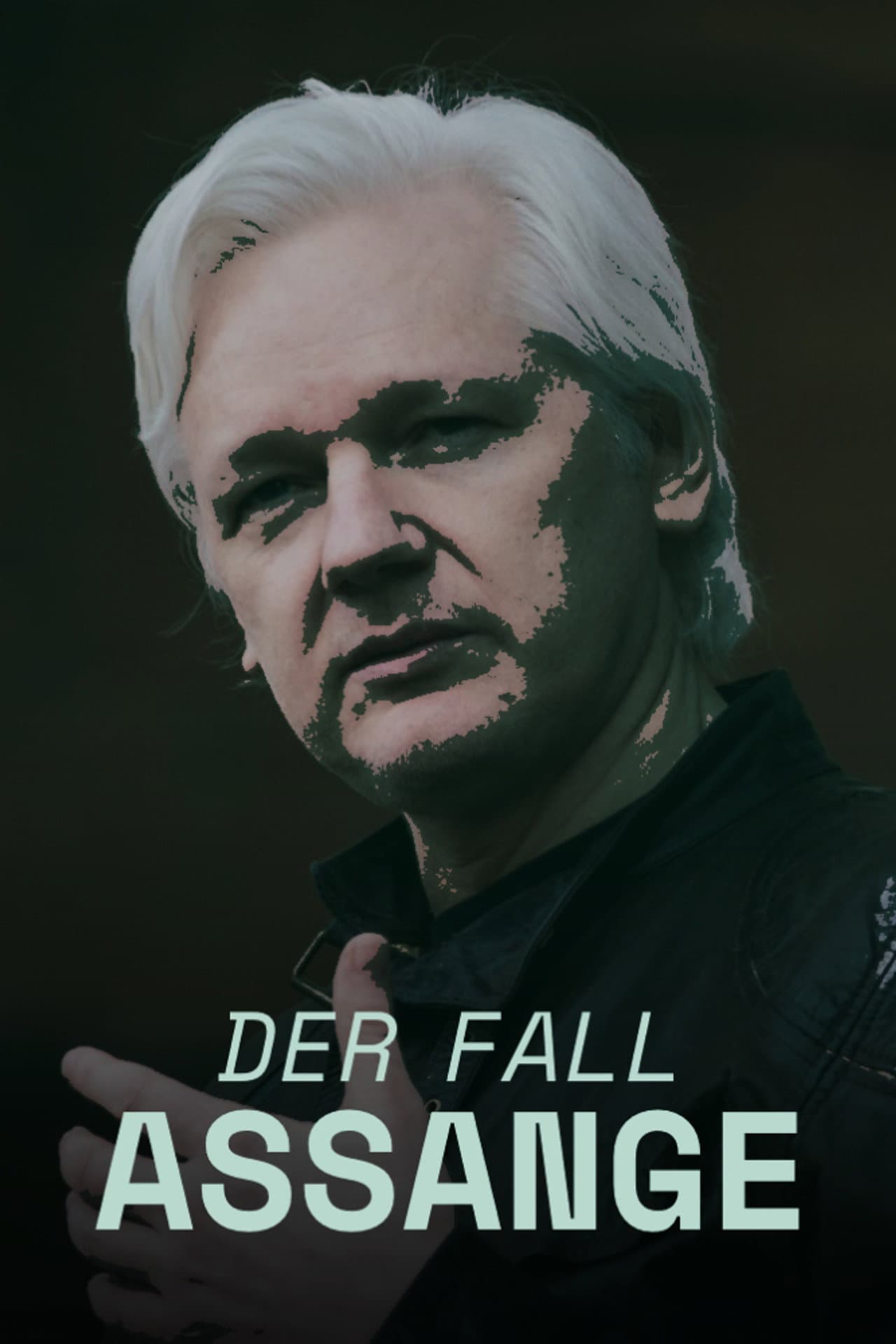 Der Fall Assange: Eine Chronik preview 1