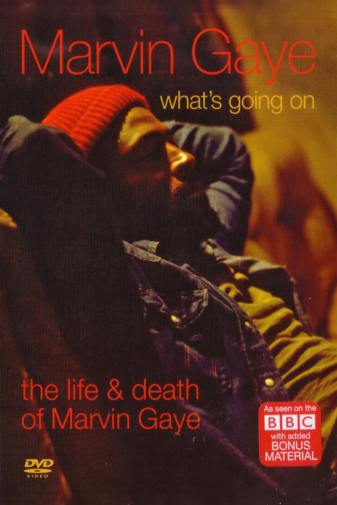 What's Going On: The Life and Death of Marvin Gaye preview 2