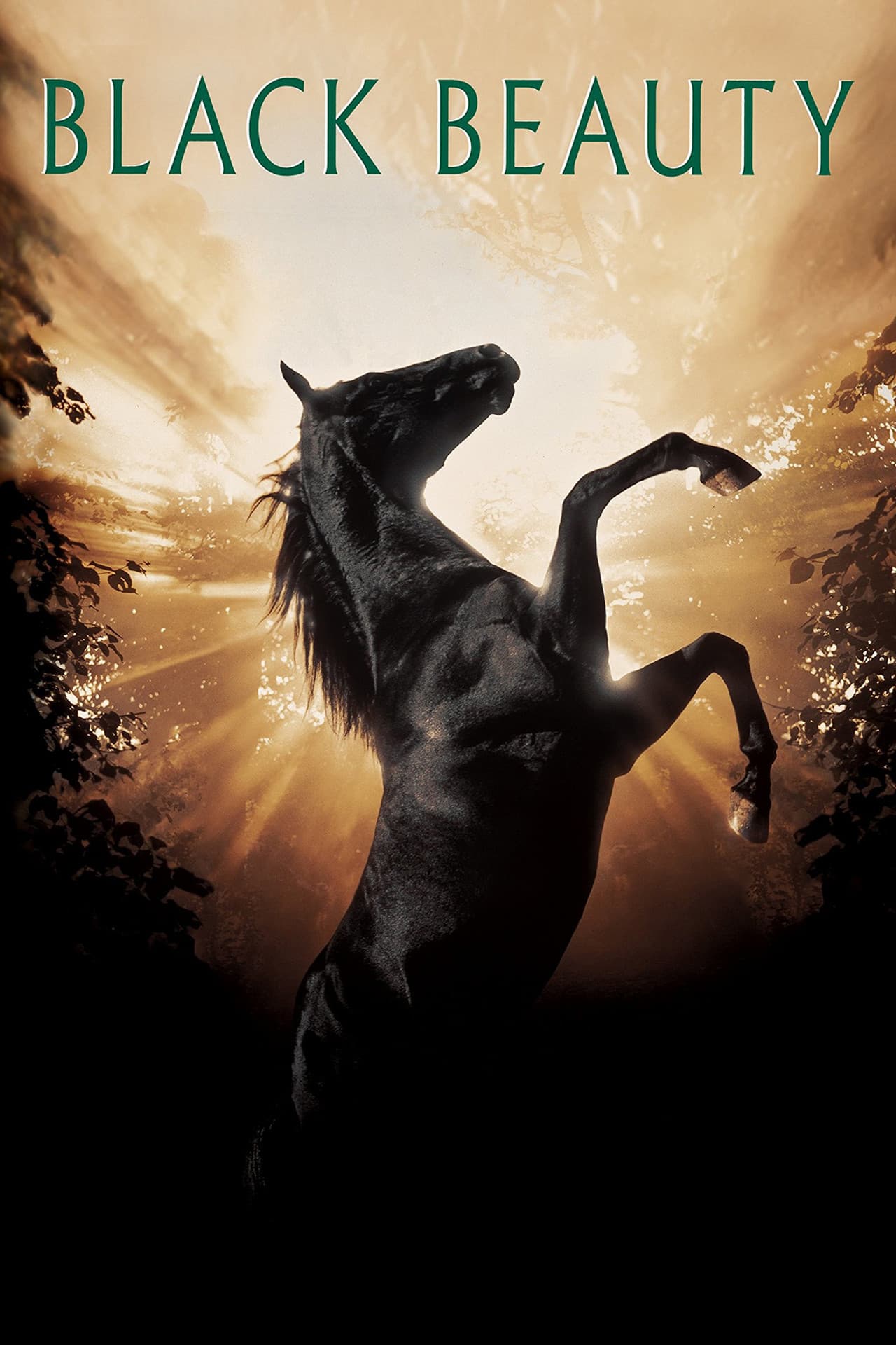 Black Beauty preview 2