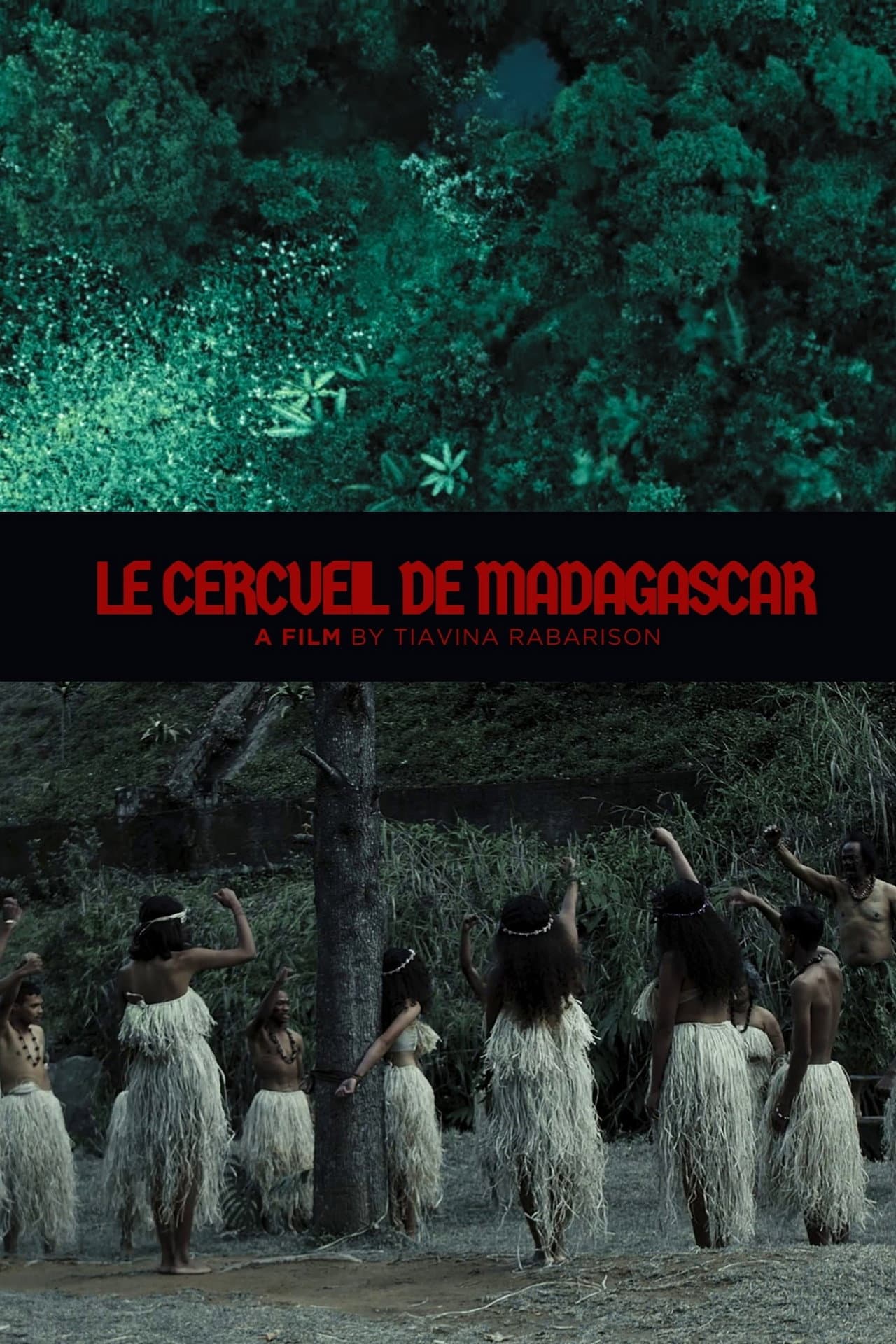 Cercueil de Madagascar preview 1