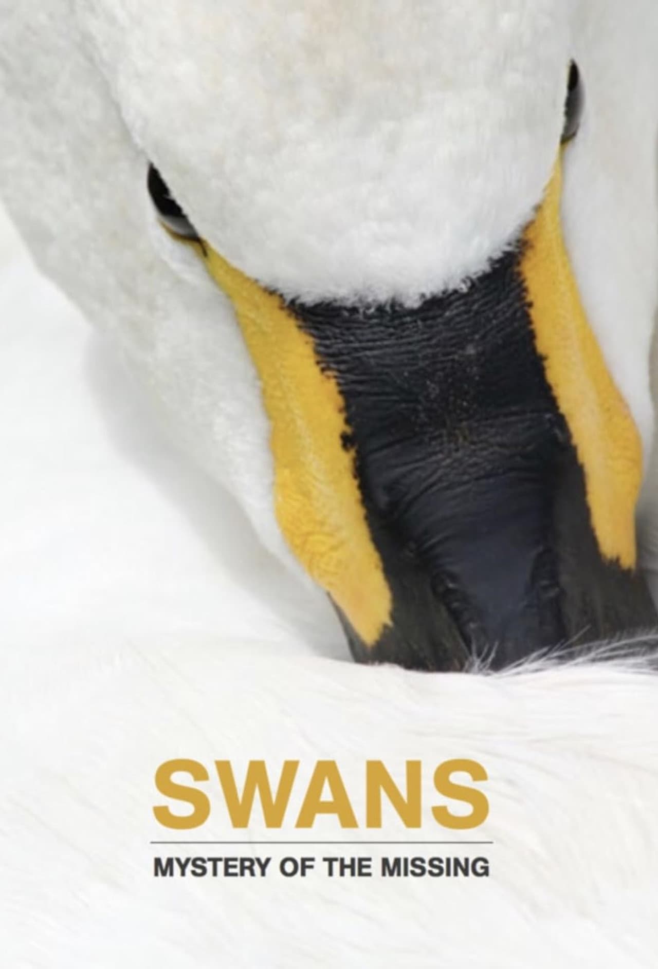 Swans: Mystery of the Missing preview 1
