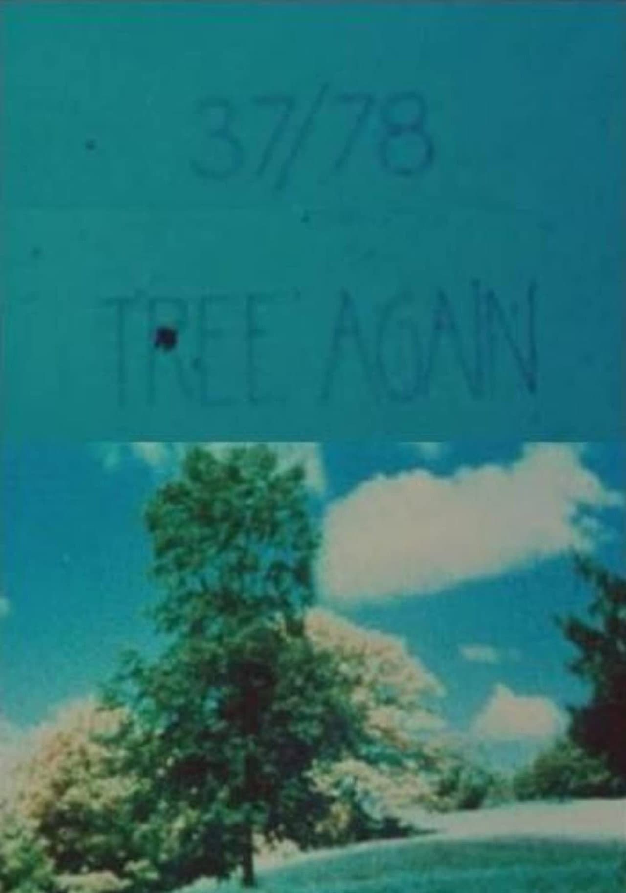 37/78: Tree Again preview 1