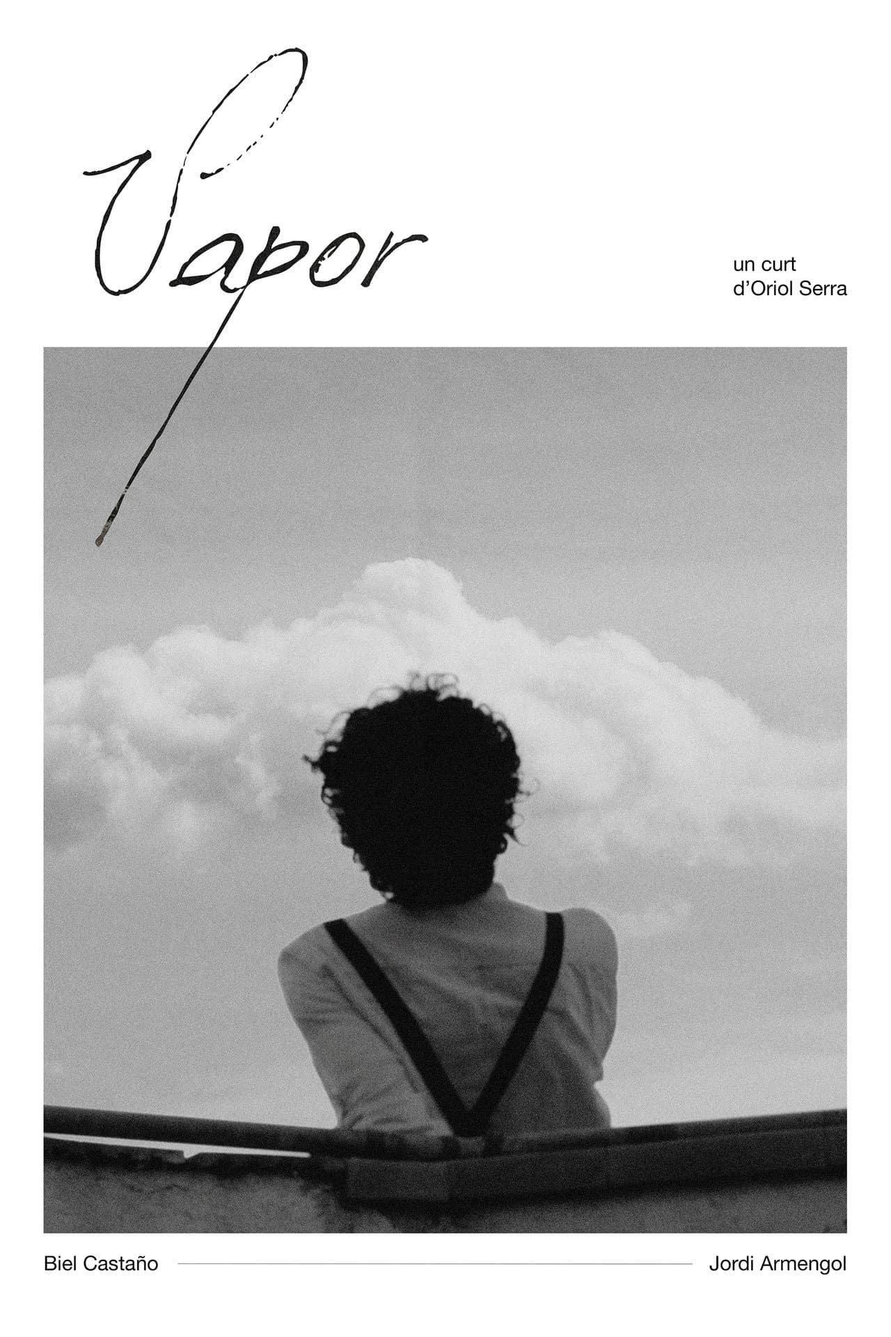 Vapor preview 2