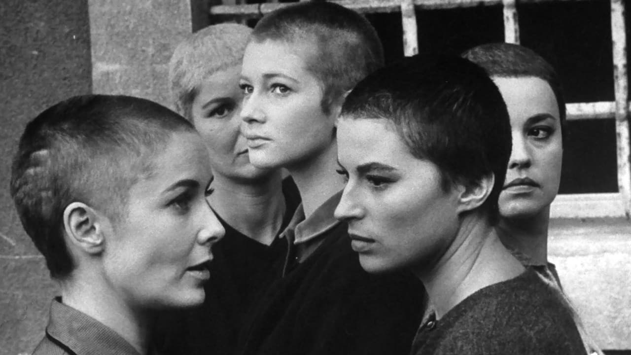 Five Branded Women
