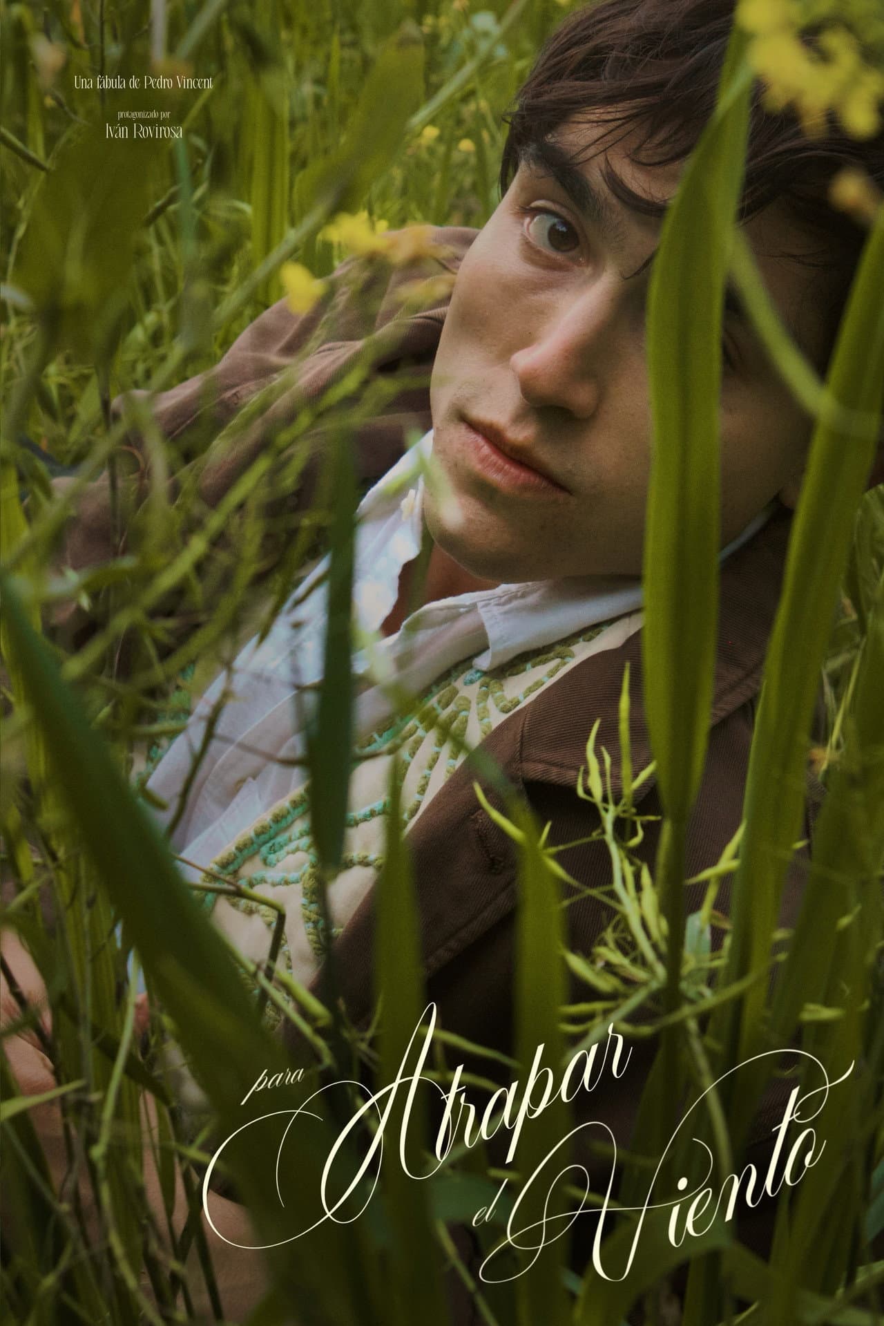 Para atrapar el viento preview 2