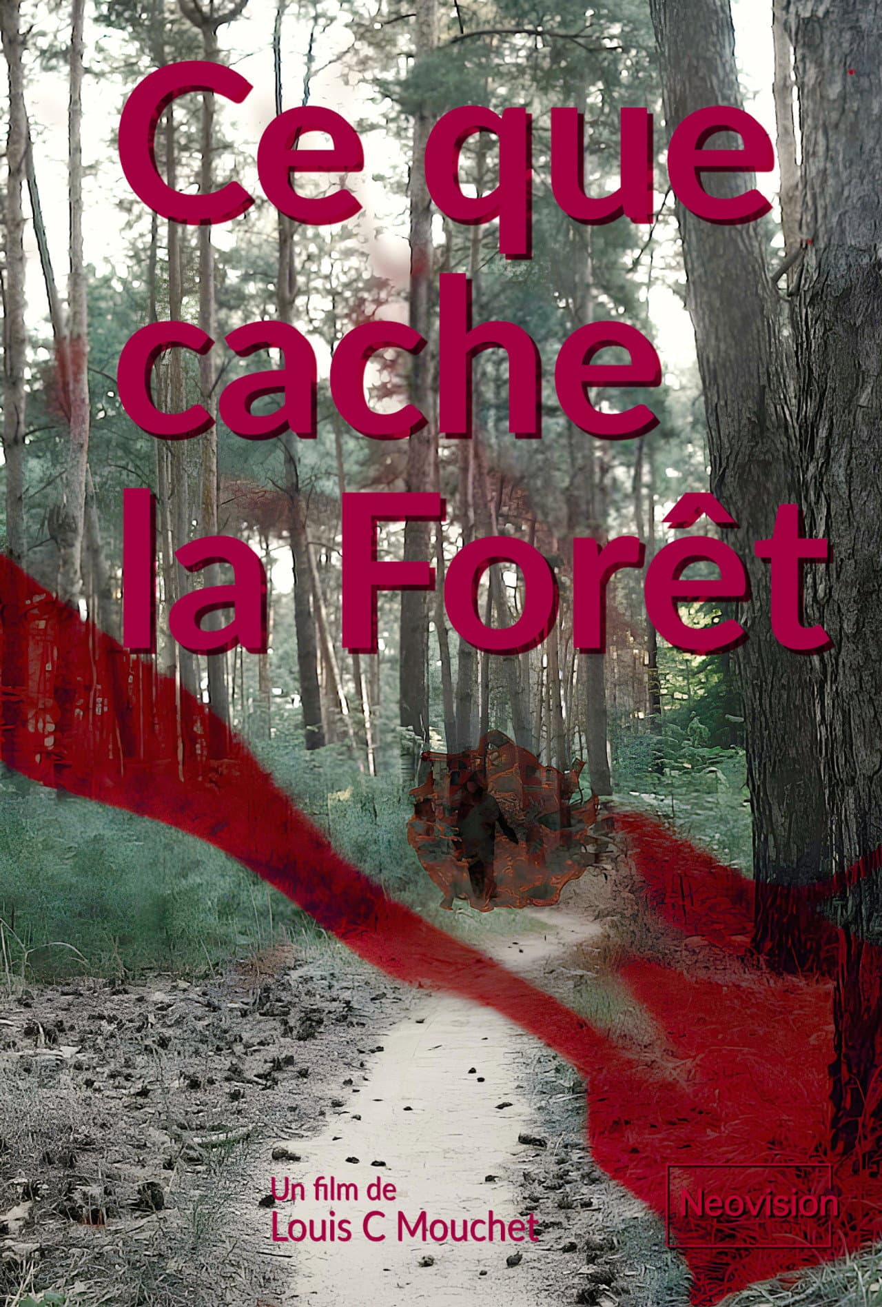 What the Forest conceals preview 1