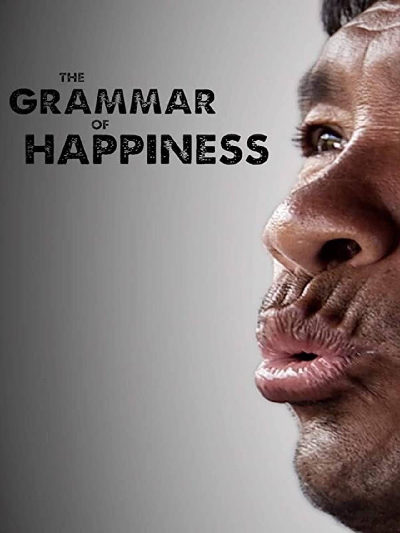 The Grammar of Happiness preview 2