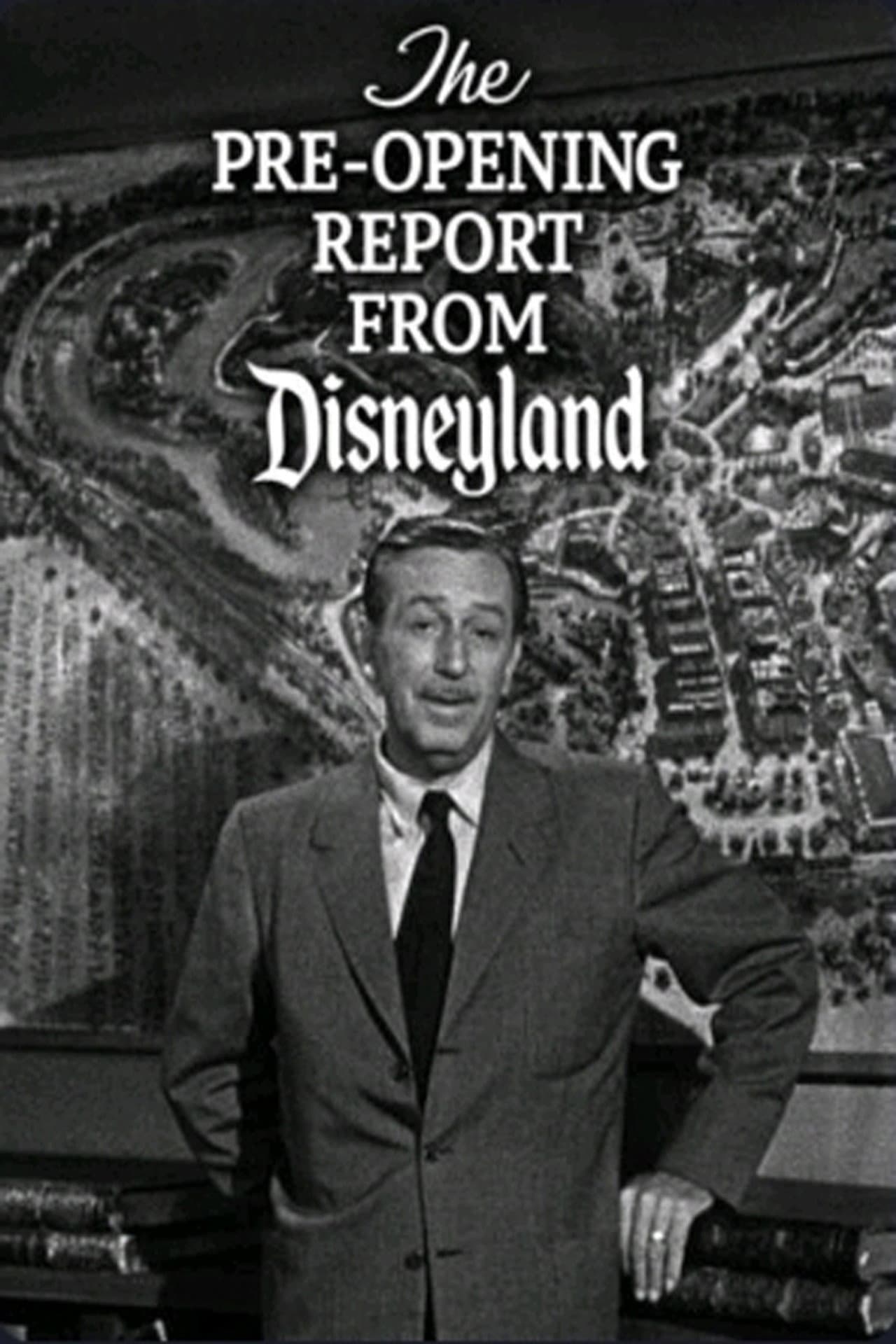 The Pre-Opening Report from Disneyland preview 2